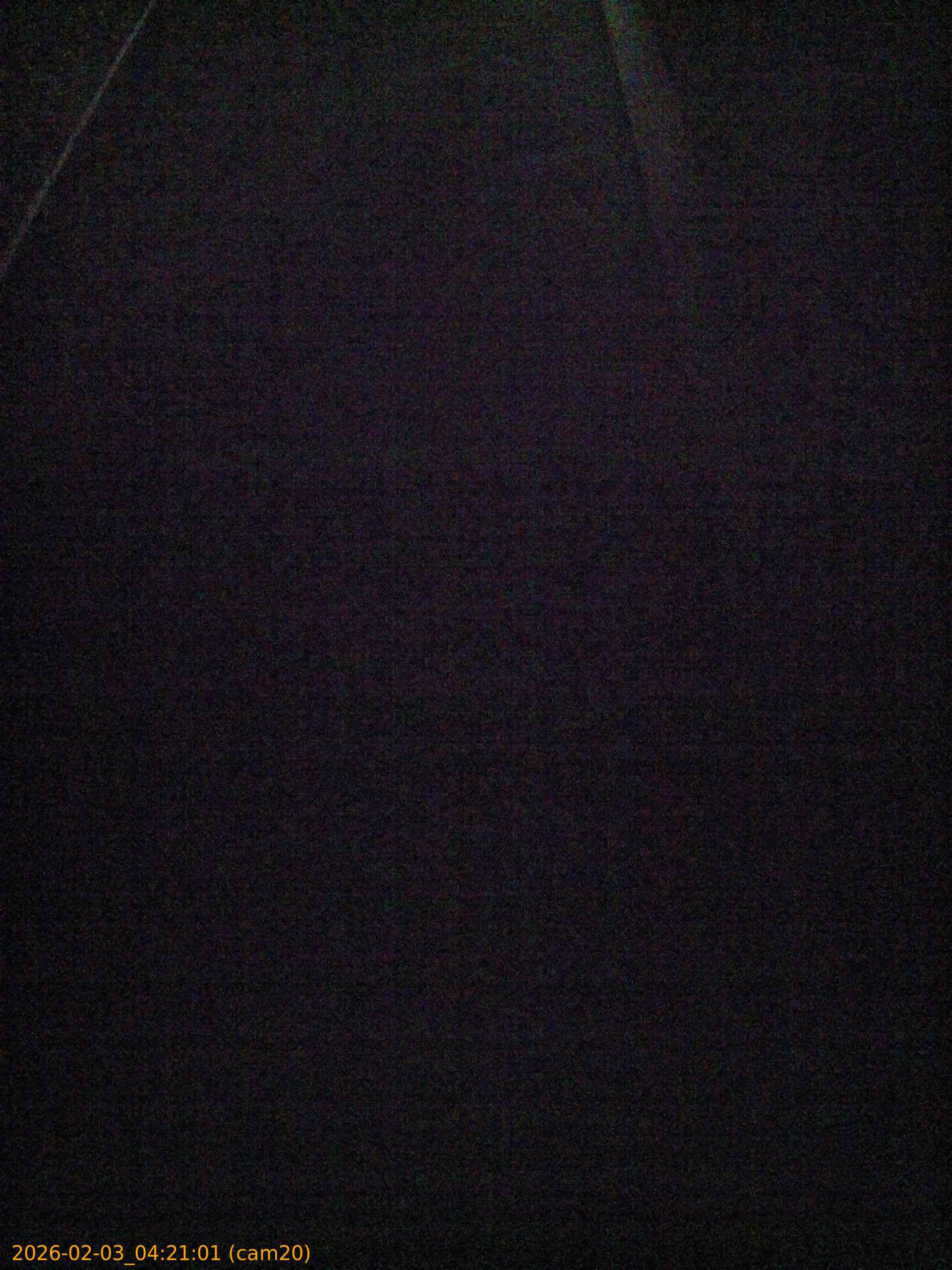 thumbnail_20260203042101