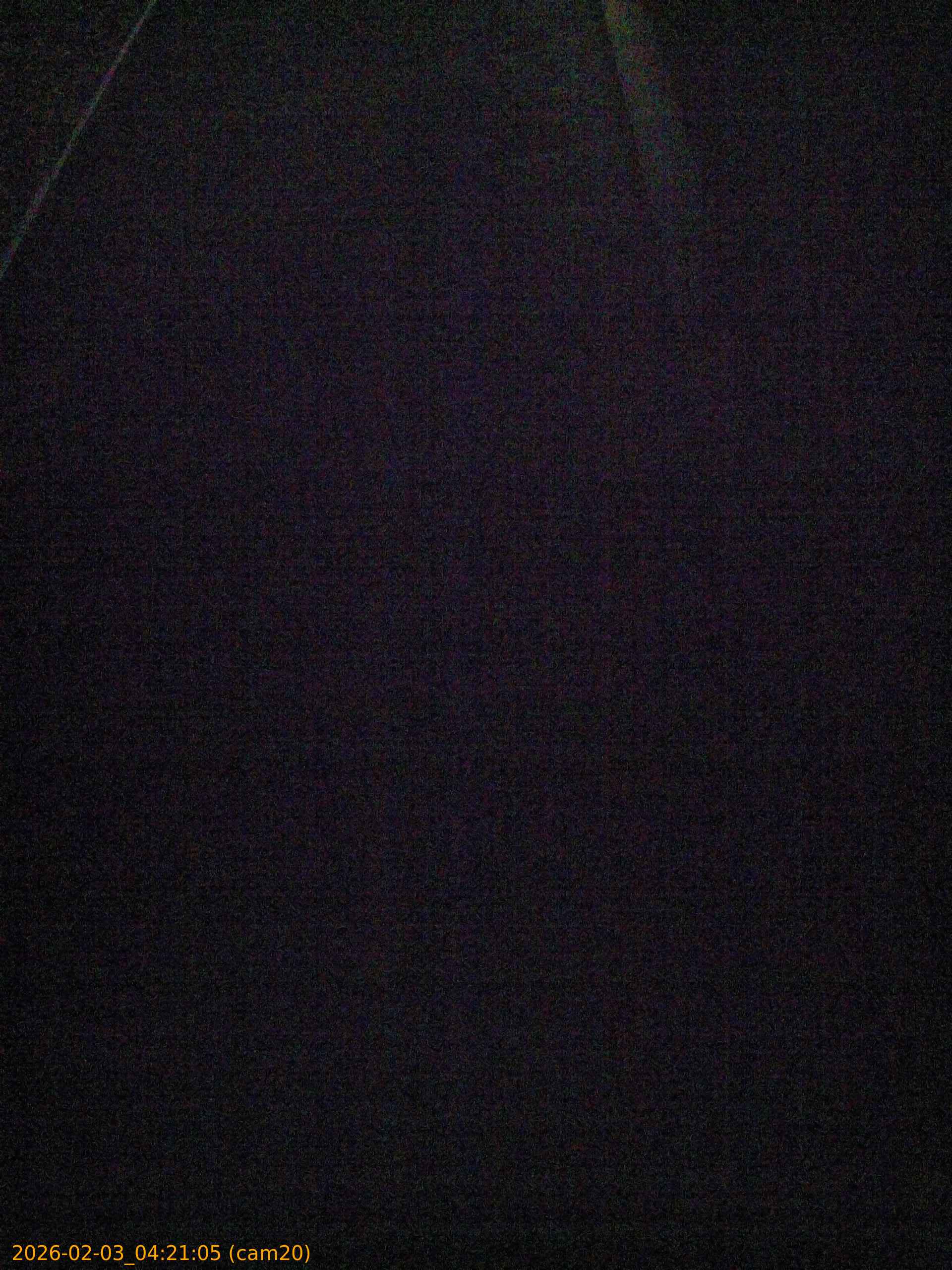 thumbnail_20260203042105