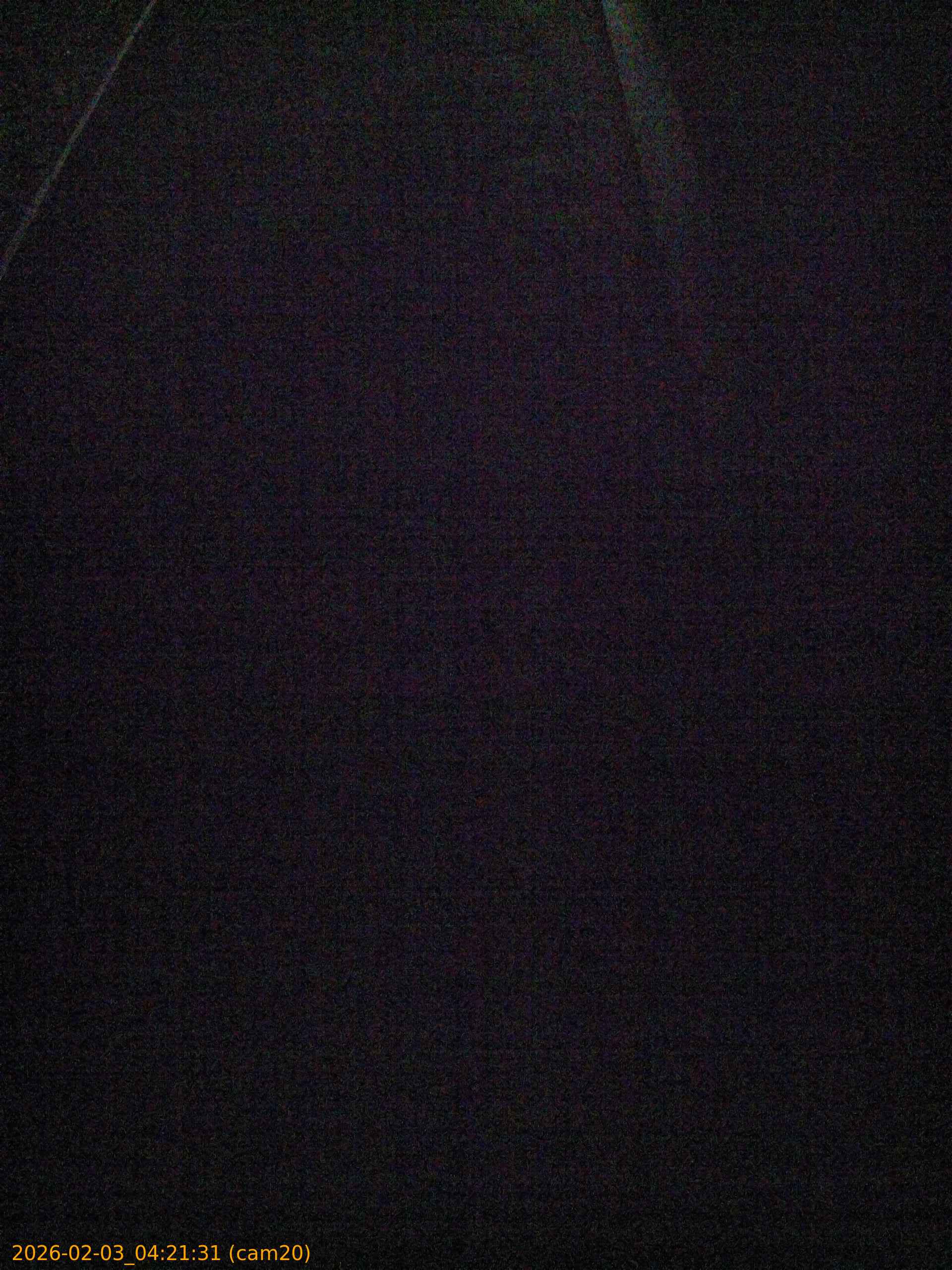 thumbnail_20260203042131