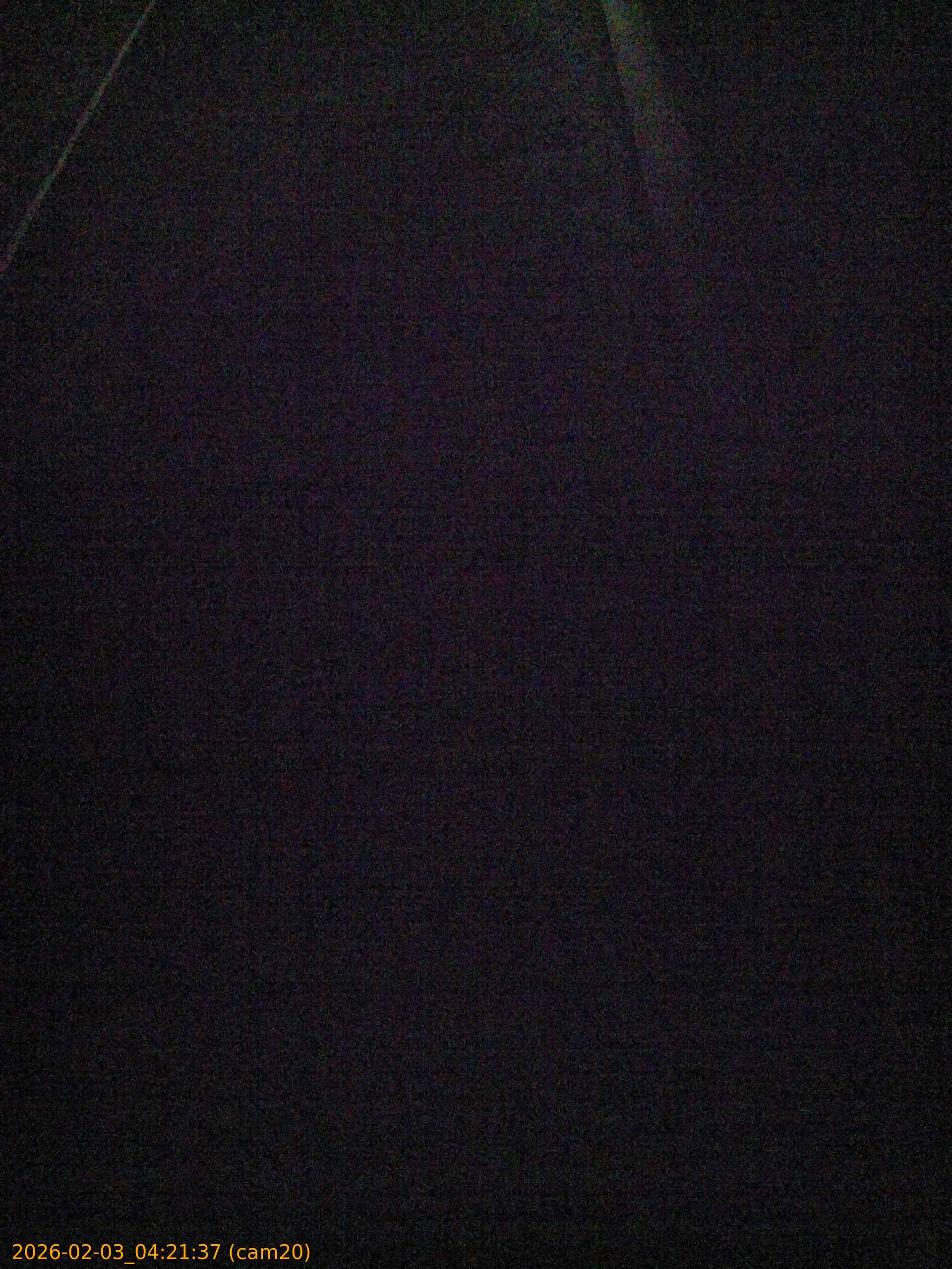 thumbnail_20260203042137