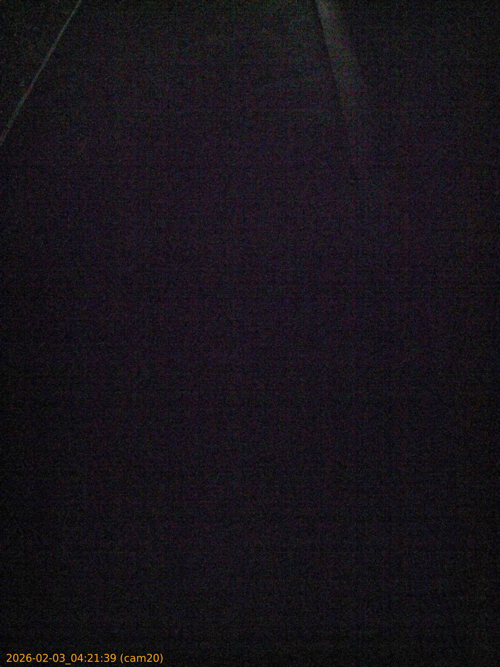 thumbnail_20260203042139