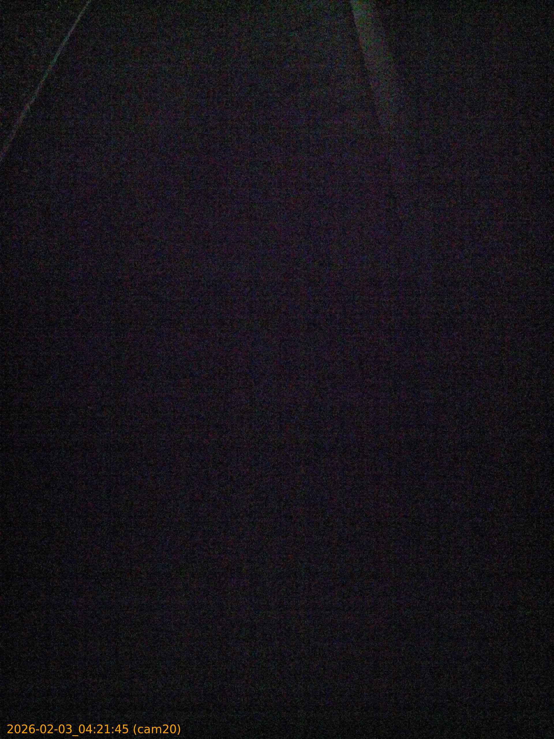 thumbnail_20260203042145