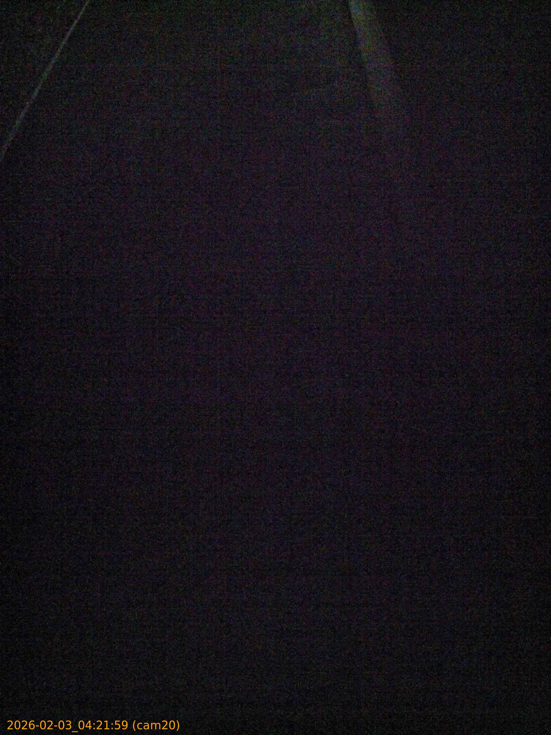 thumbnail_20260203042159