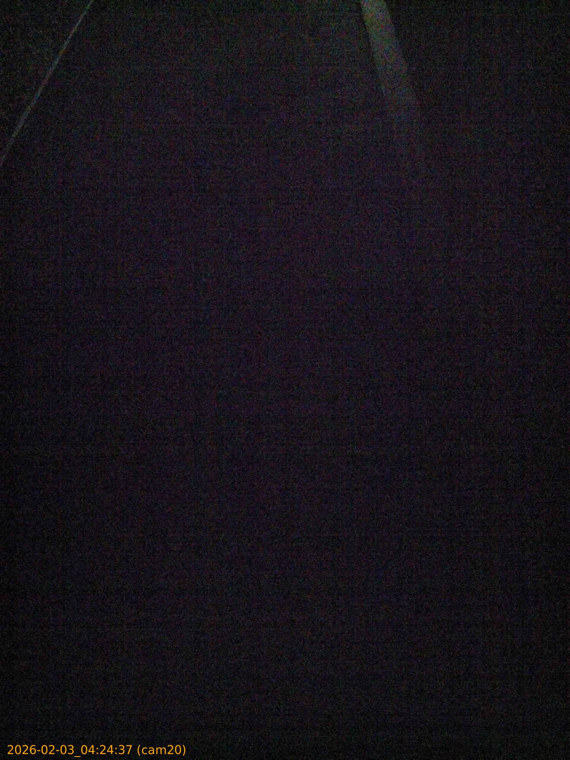 thumbnail_20260203042437