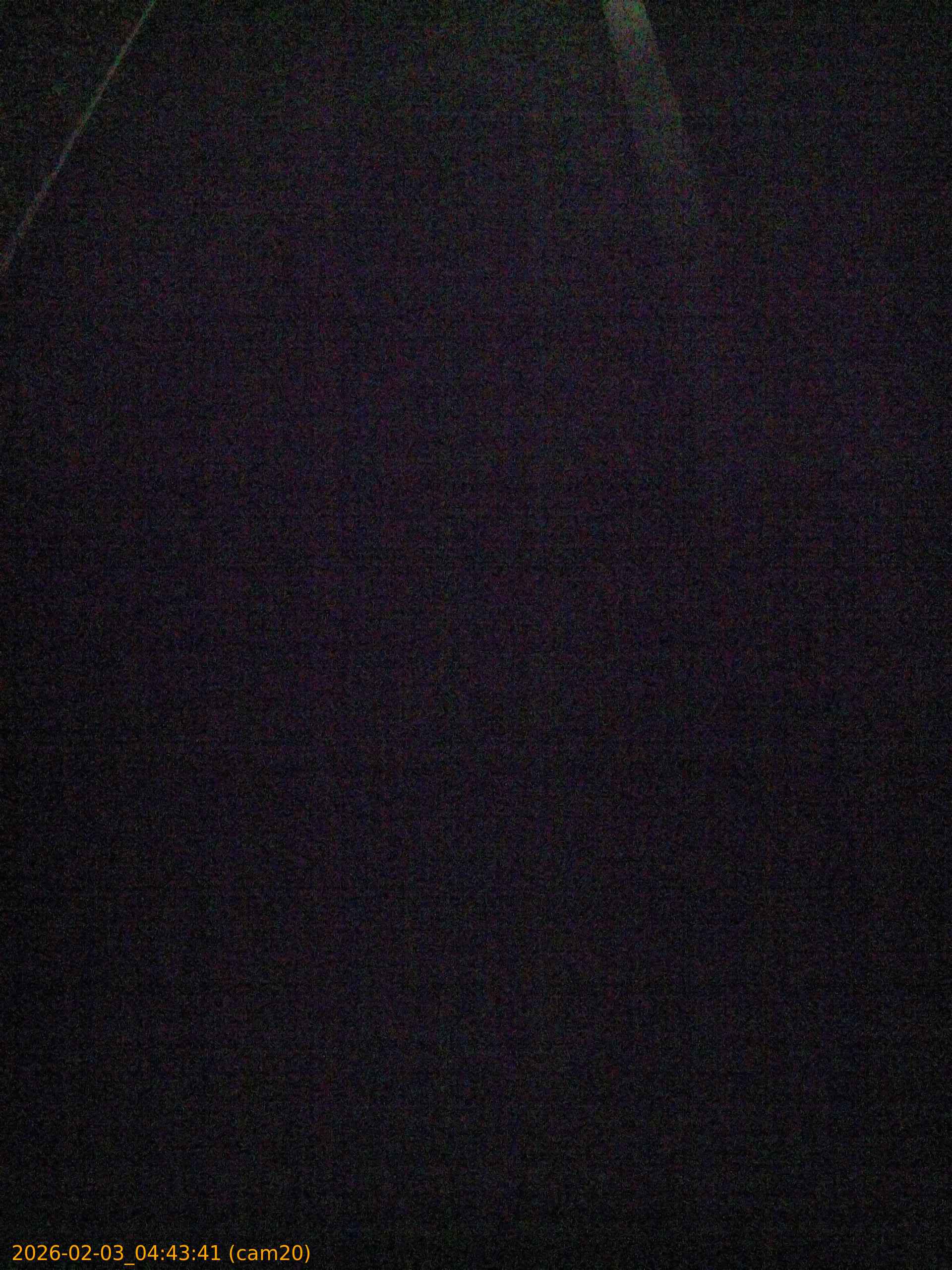 thumbnail_20260203044341