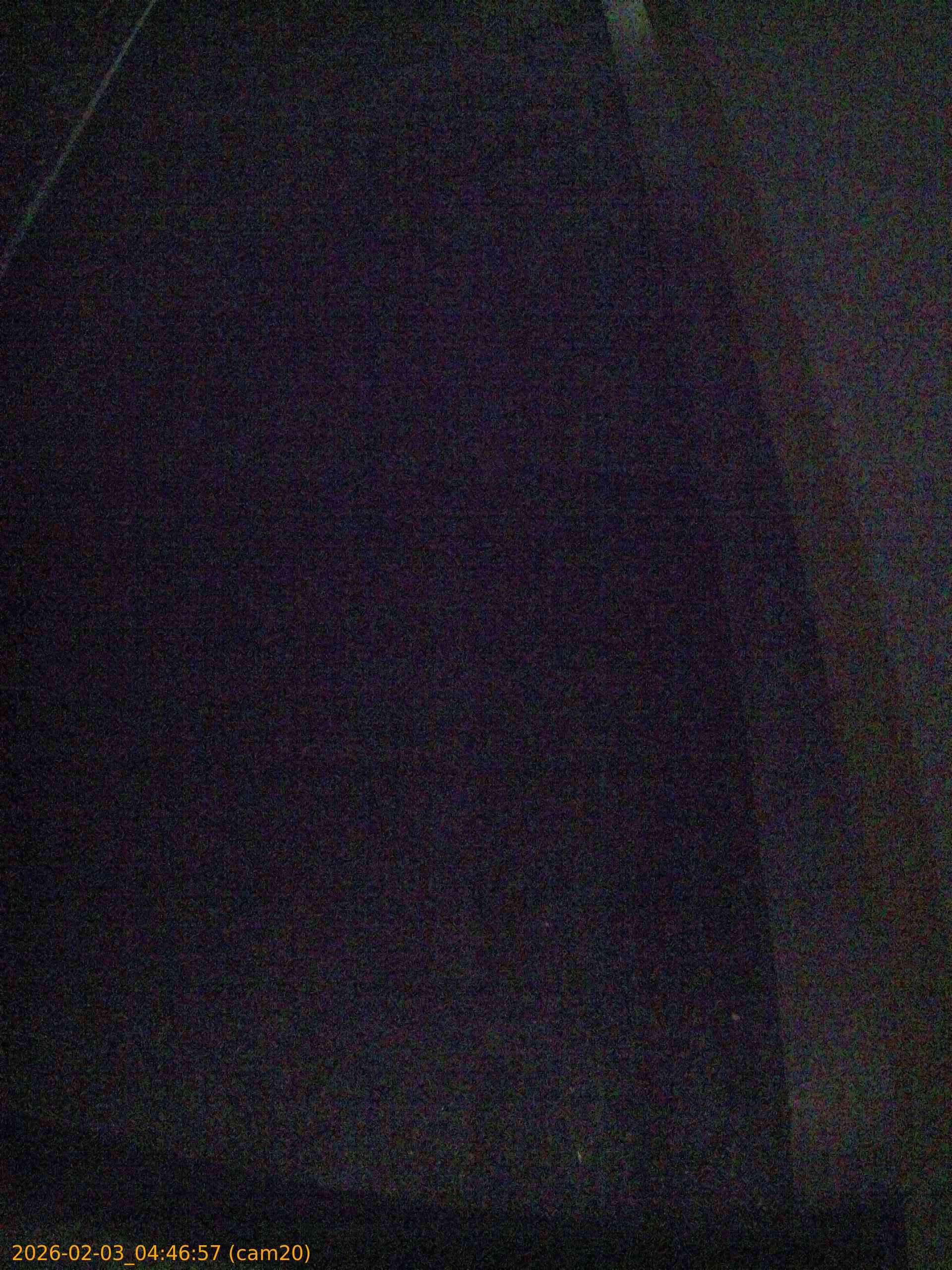 thumbnail_20260203044657