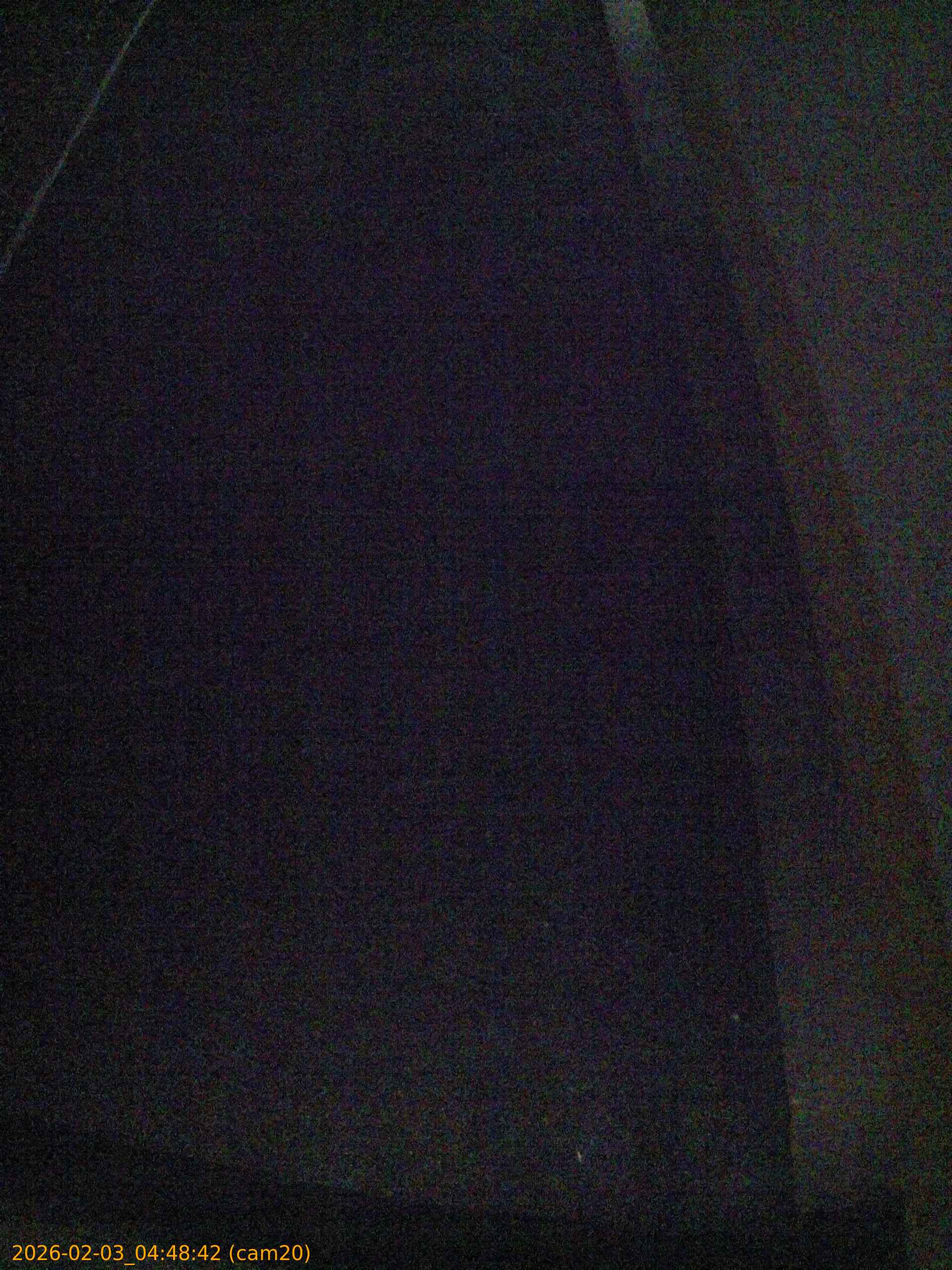 thumbnail_20260203044842