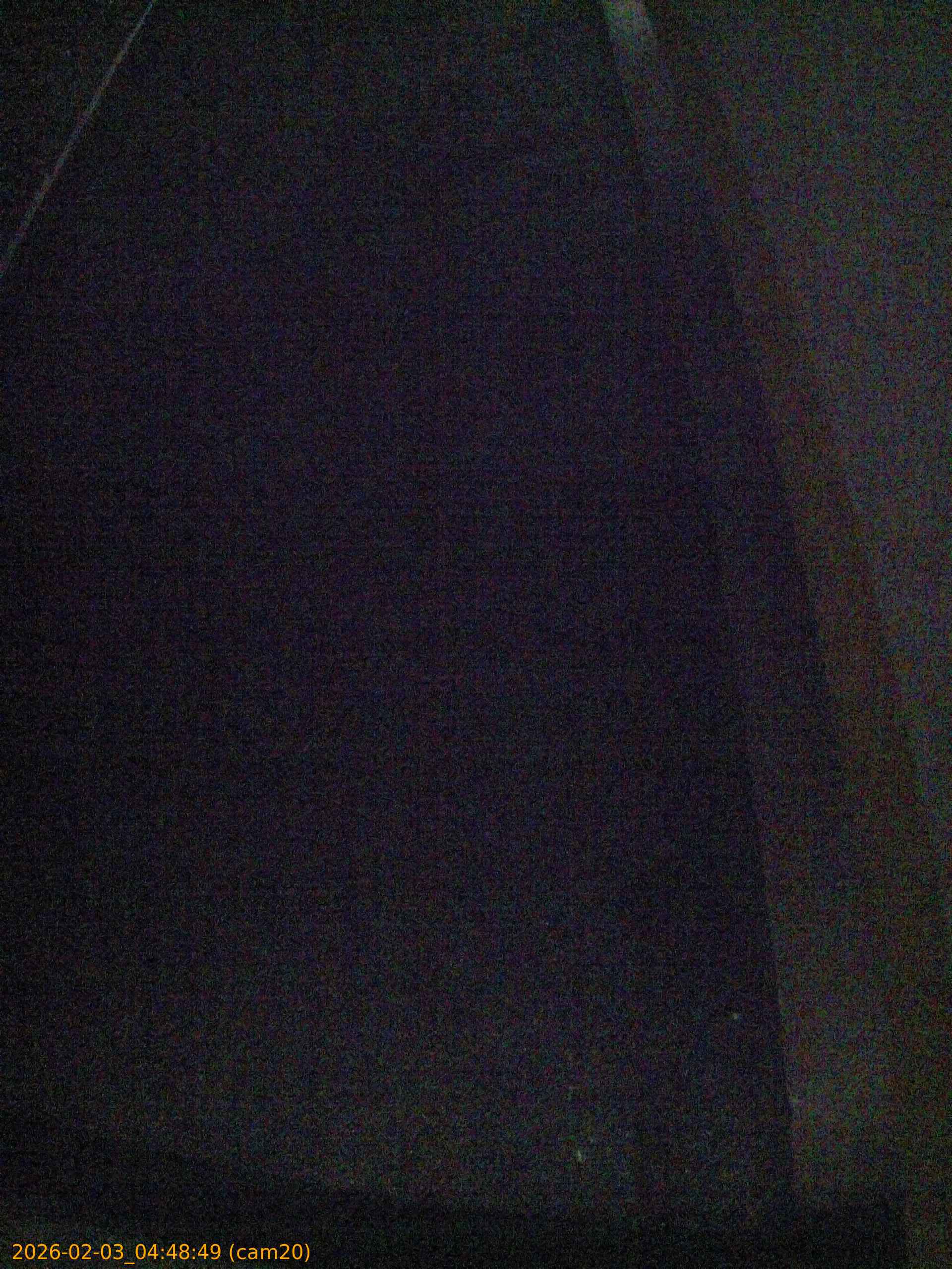 thumbnail_20260203044848