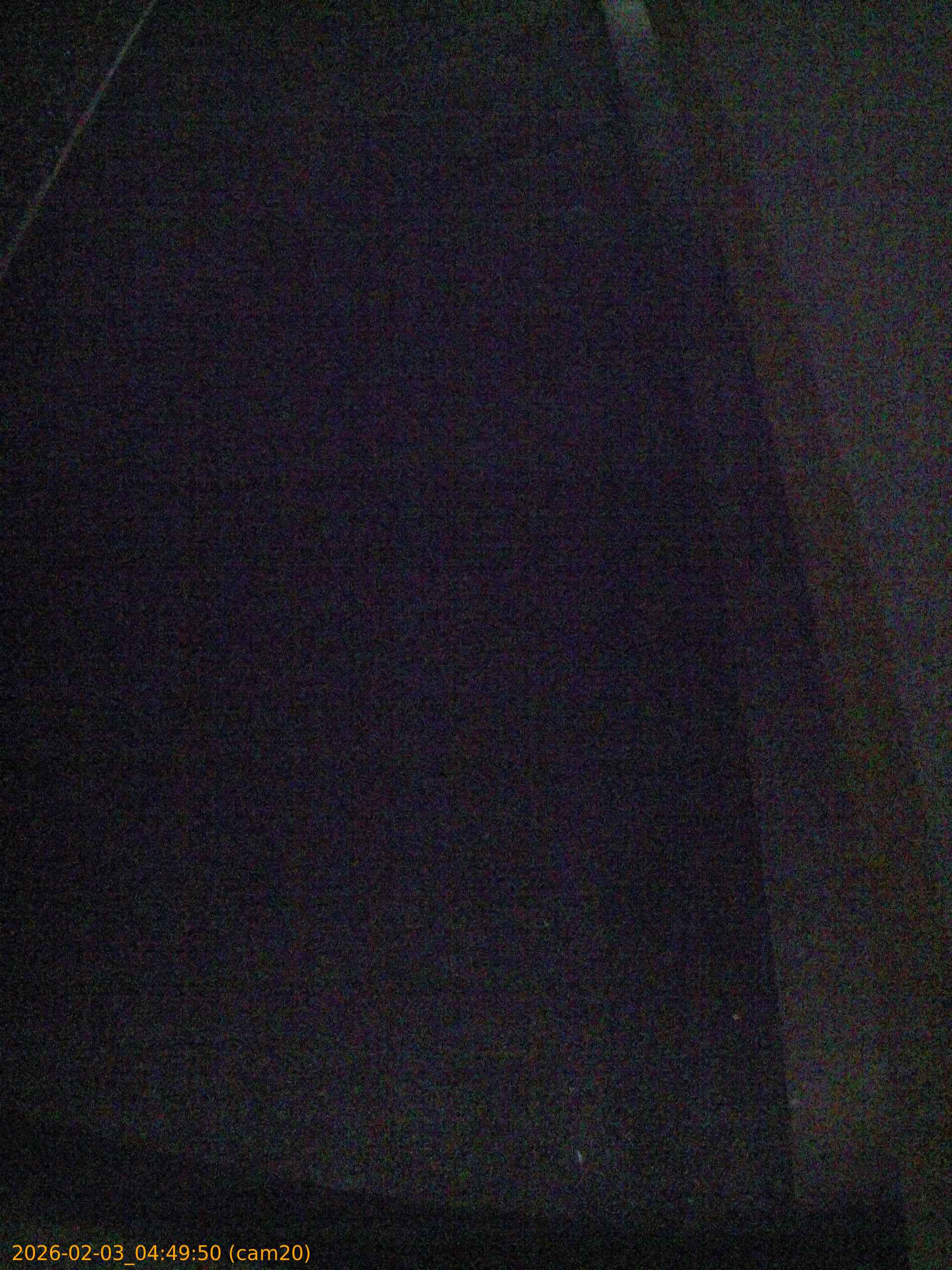 thumbnail_20260203044950