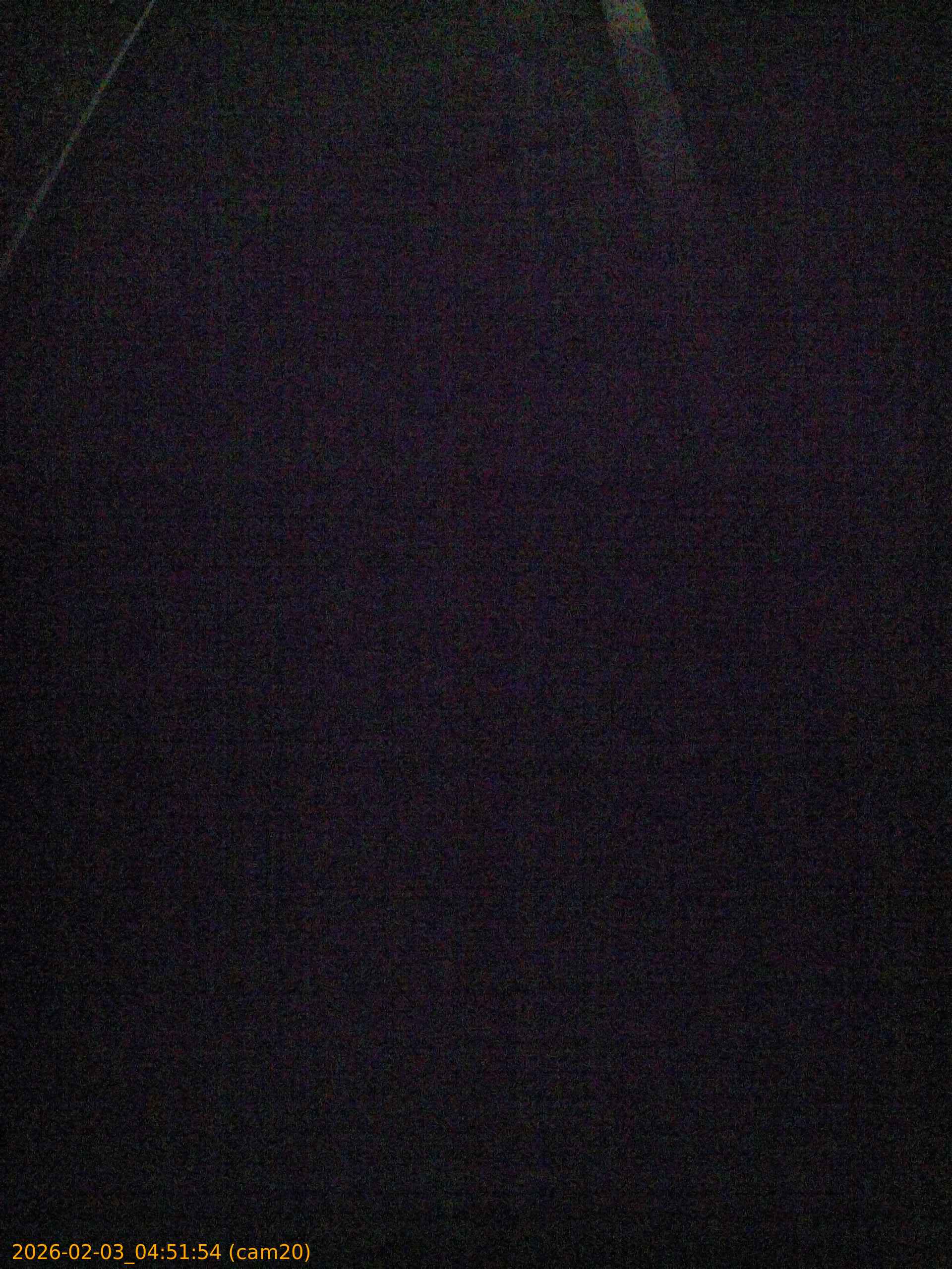 thumbnail_20260203045154