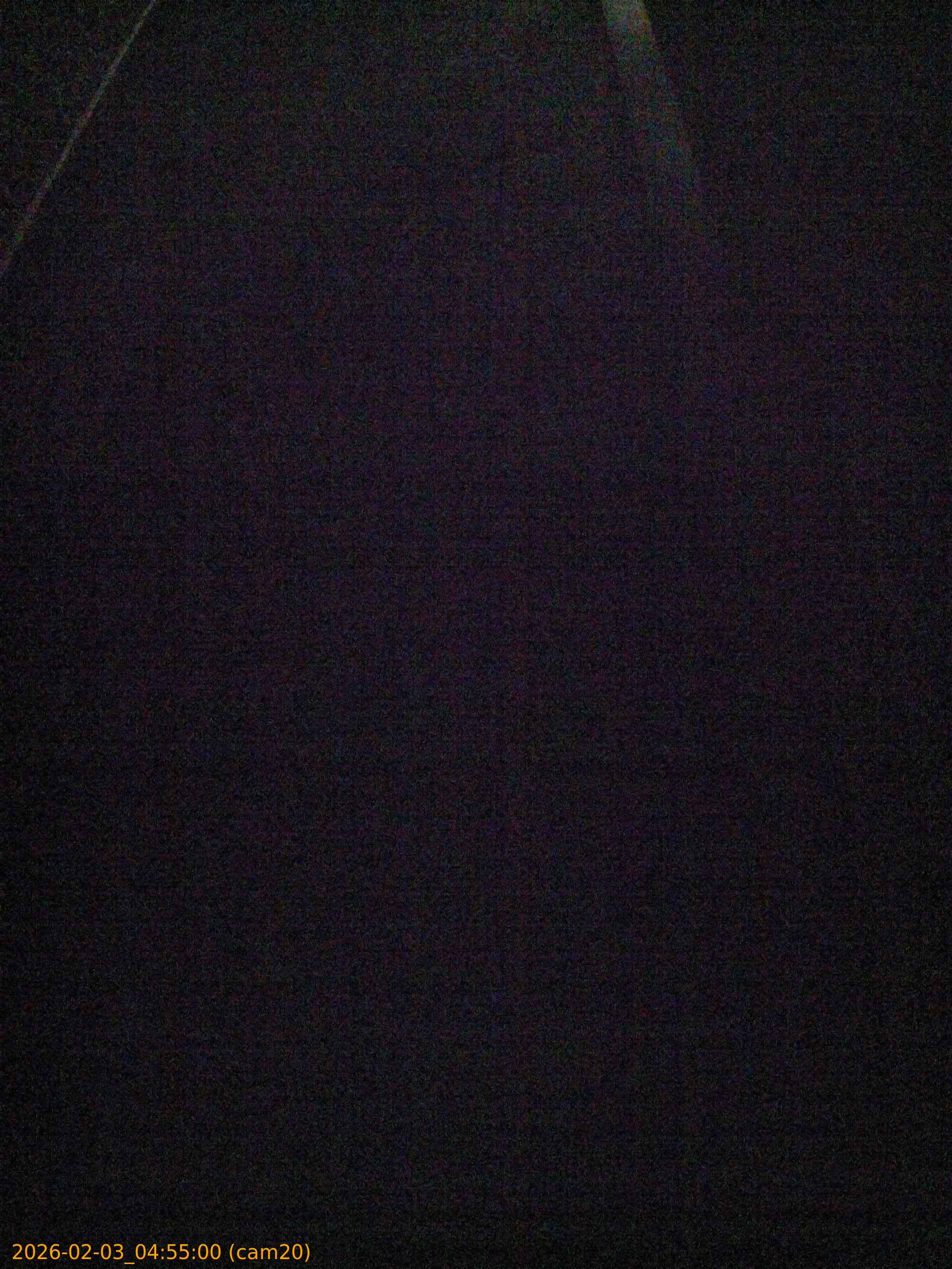 thumbnail_20260203045500