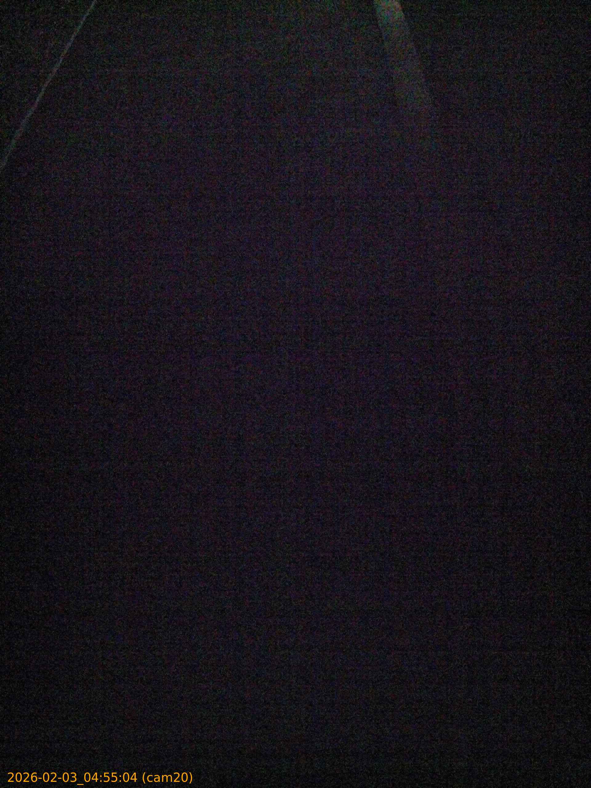 thumbnail_20260203045504