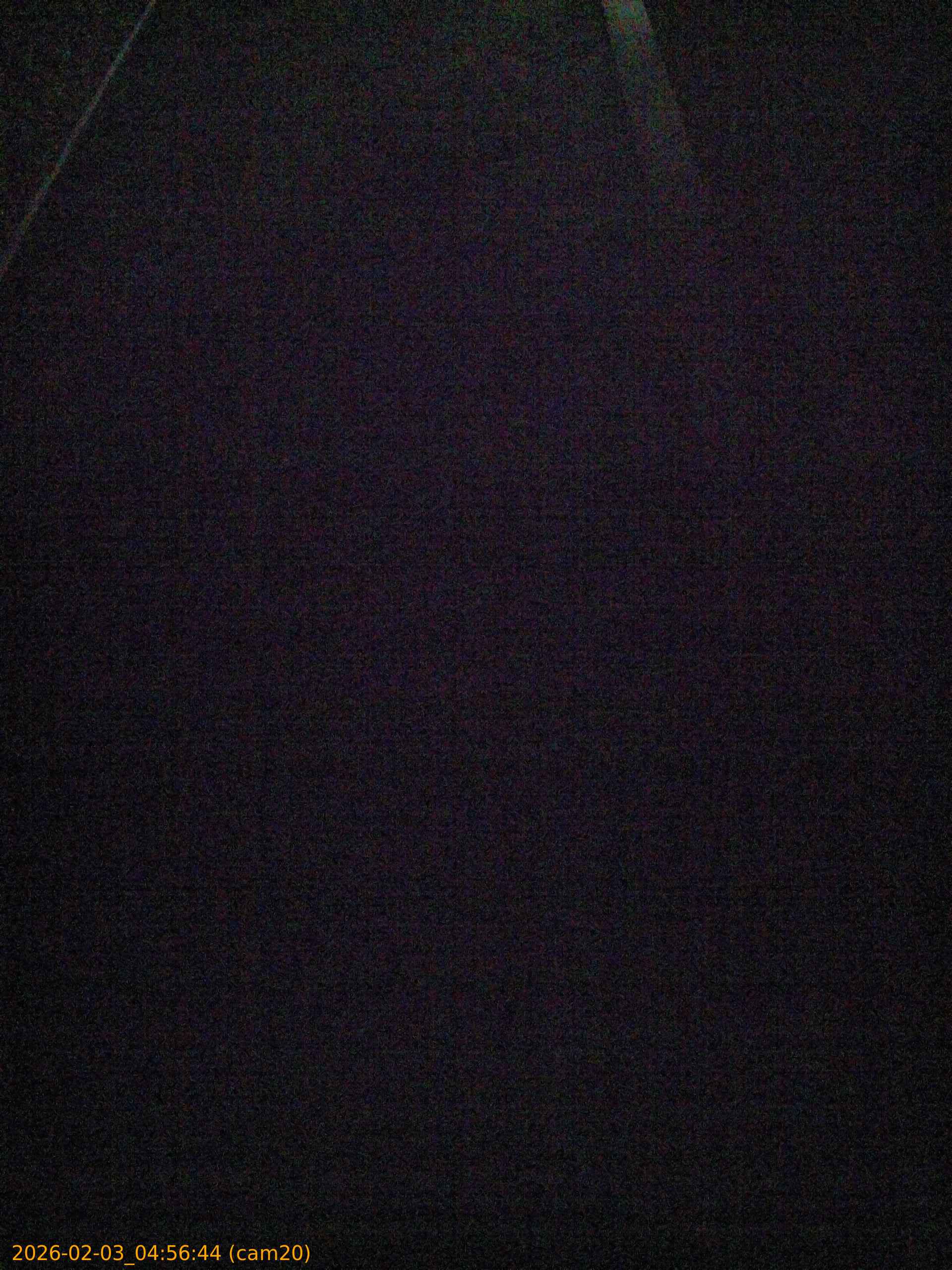 thumbnail_20260203045644