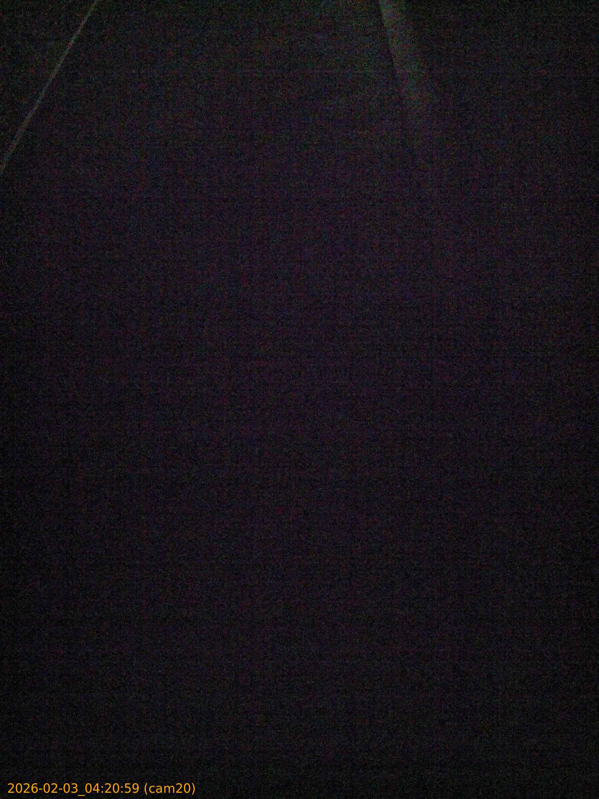 thumbnail_202602030420