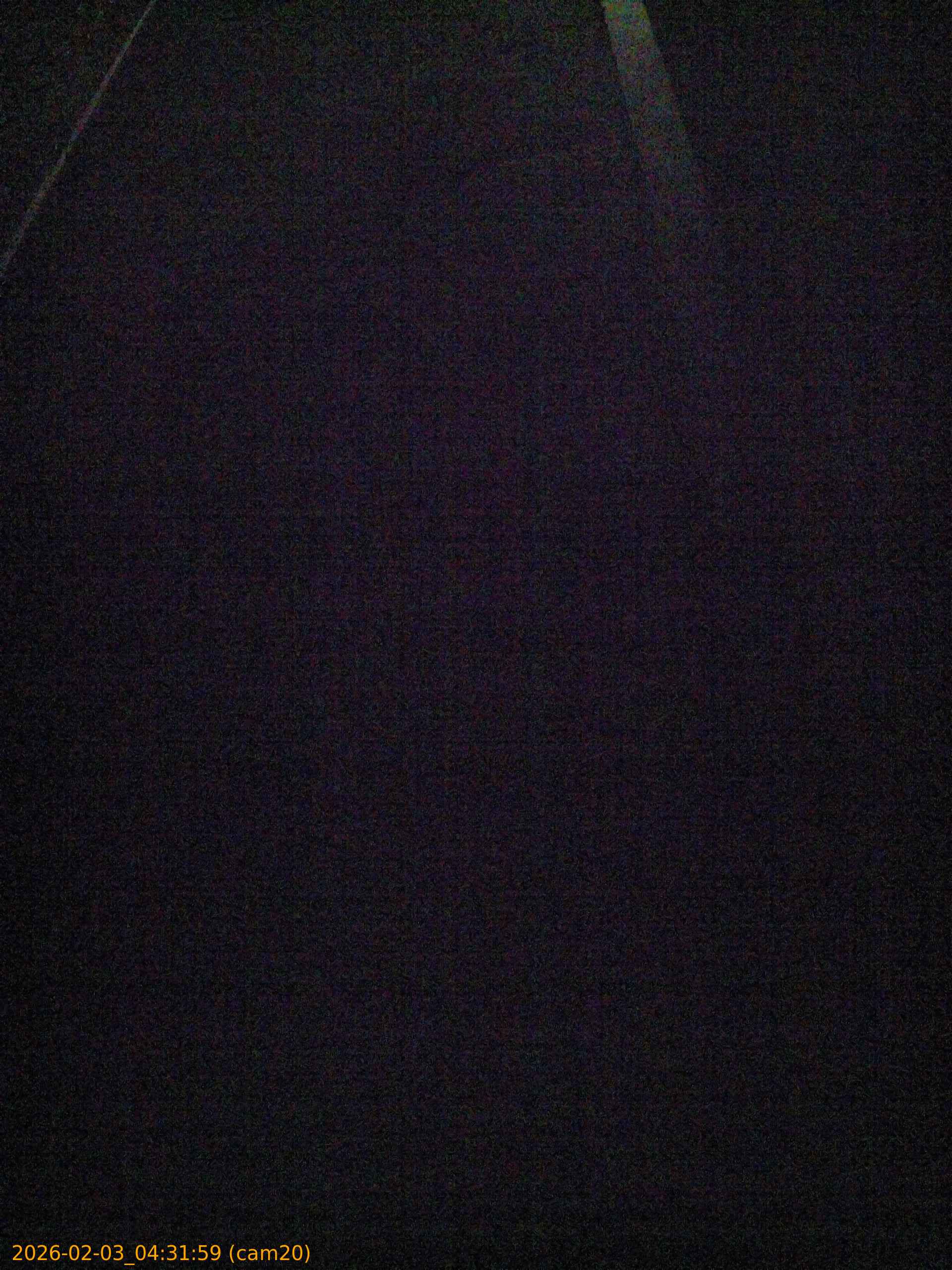 thumbnail_202602030431