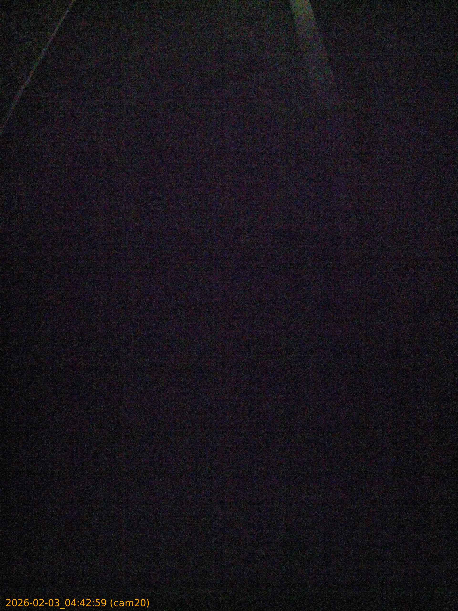 thumbnail_202602030442