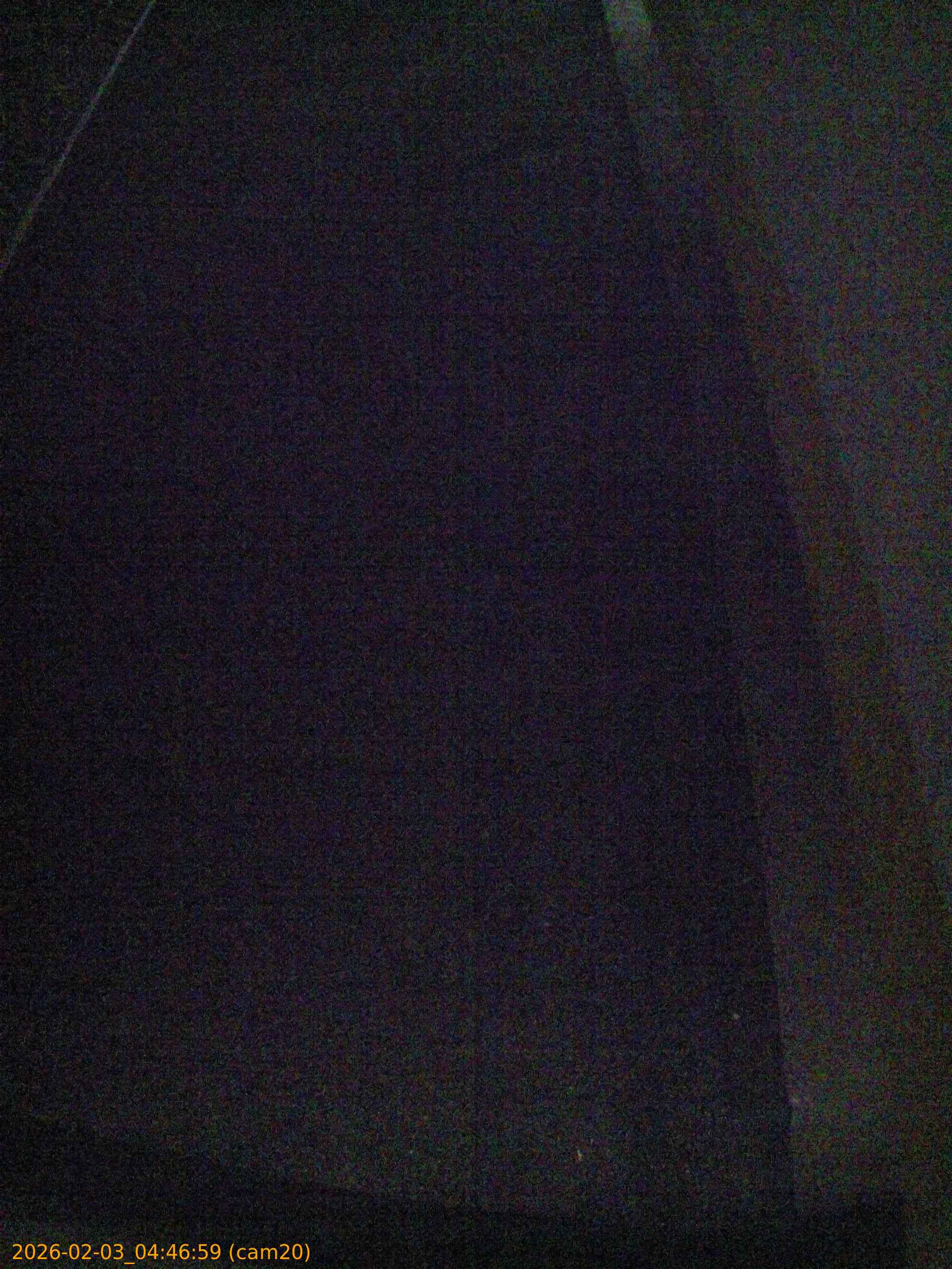 thumbnail_202602030446