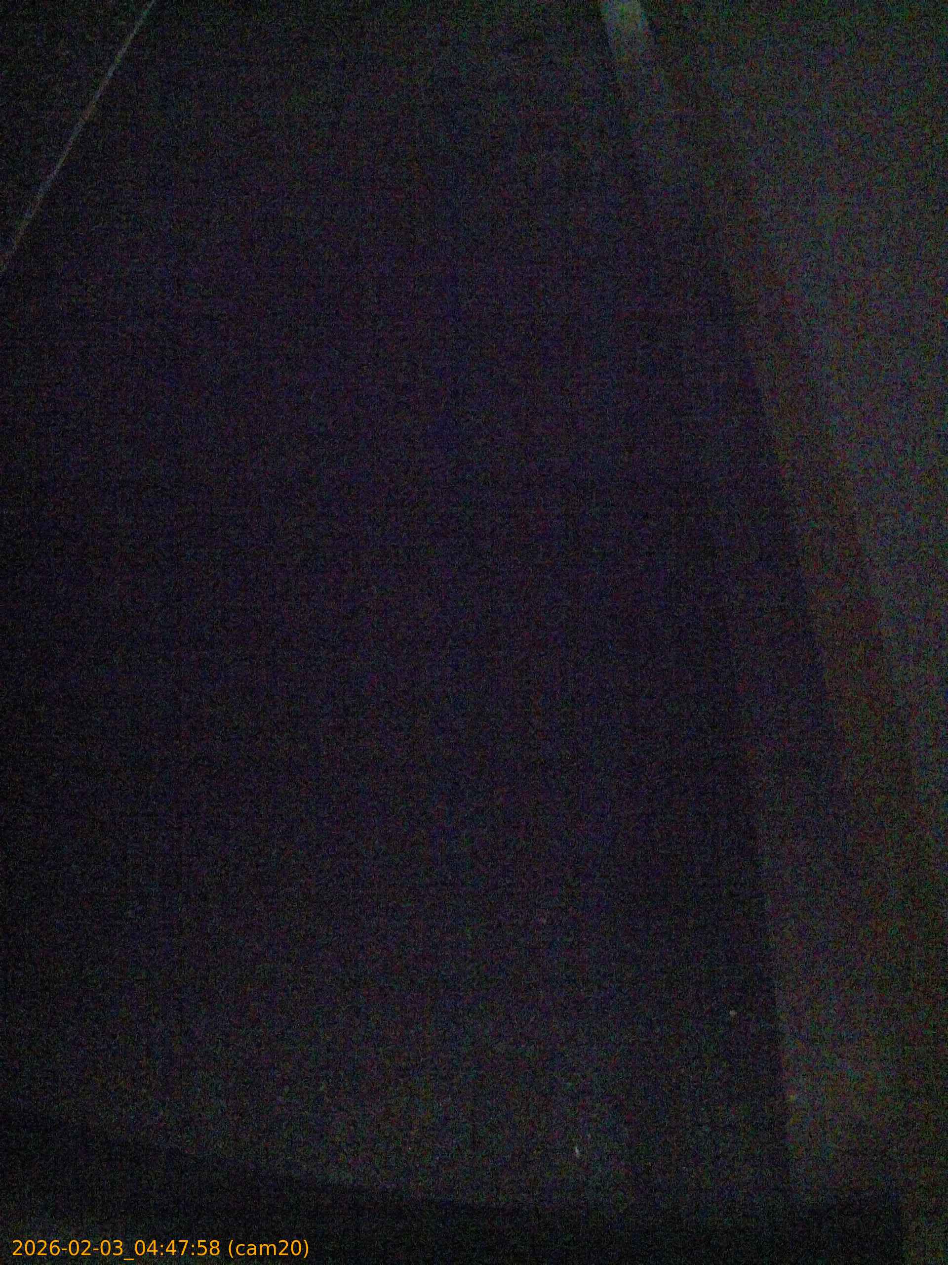 thumbnail_202602030447