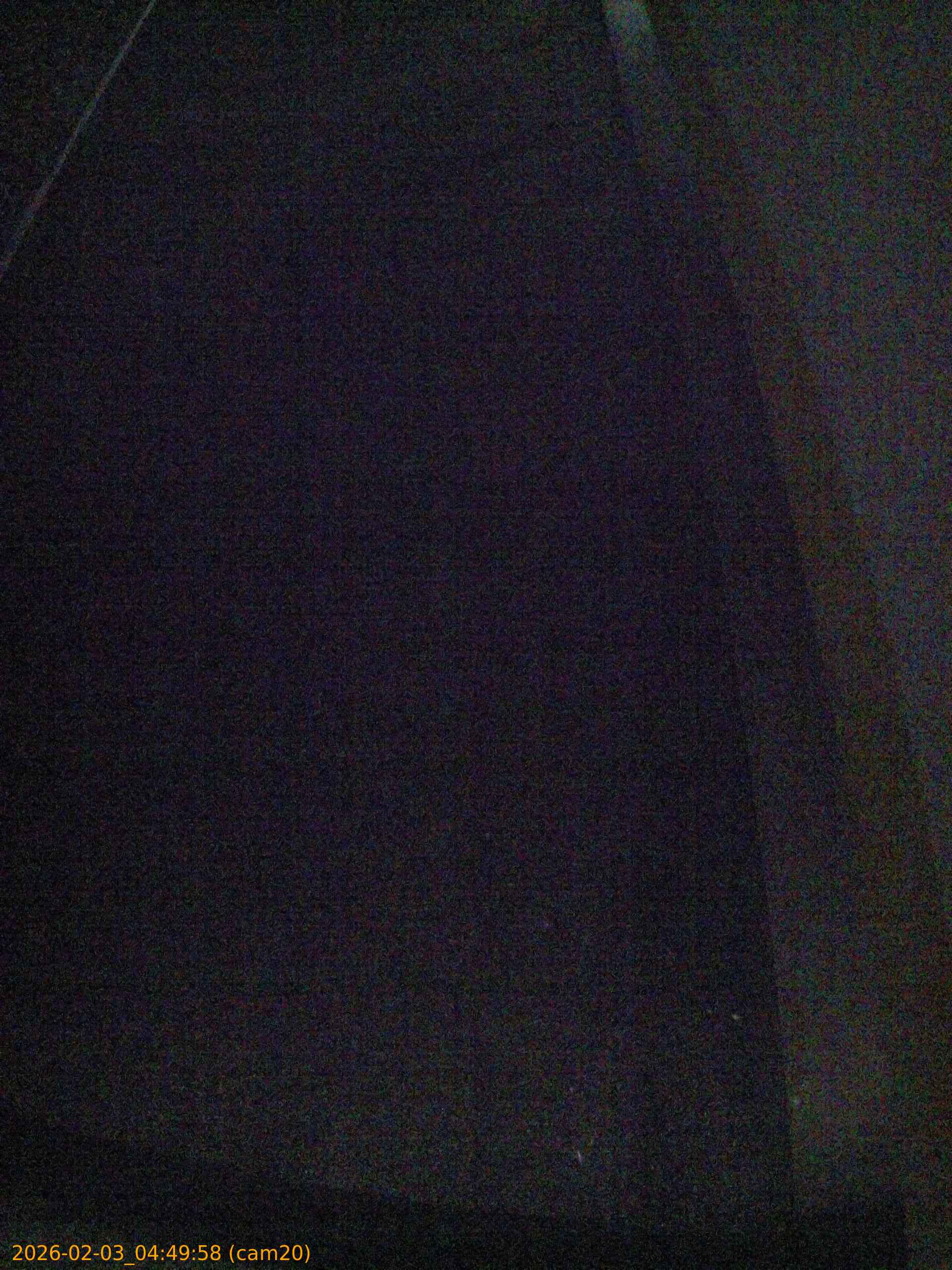 thumbnail_202602030449