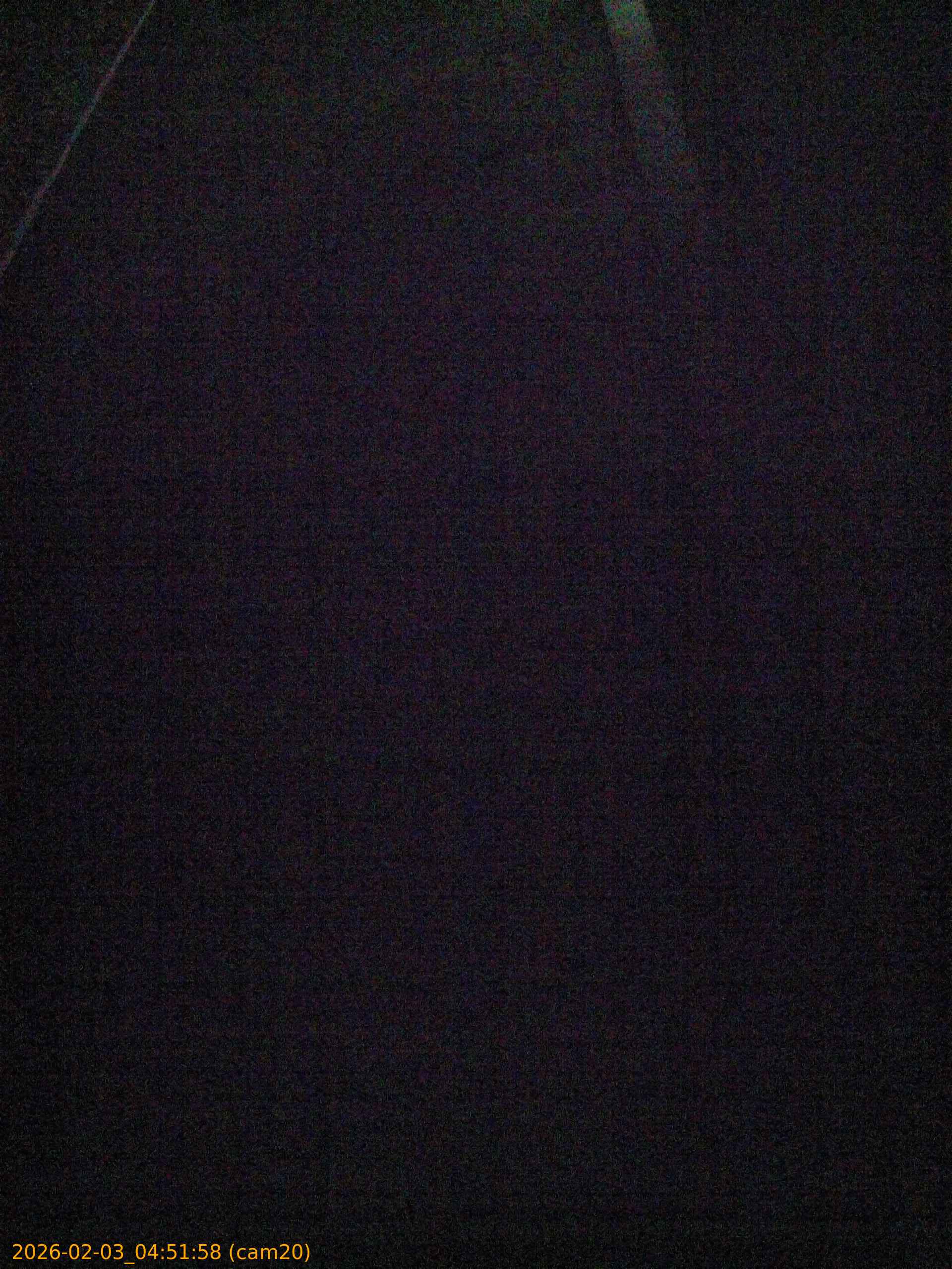 thumbnail_202602030451