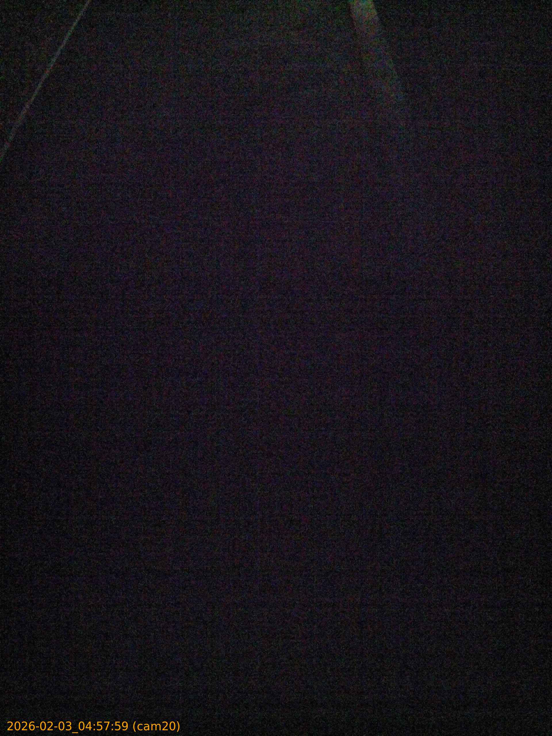 thumbnail_202602030457