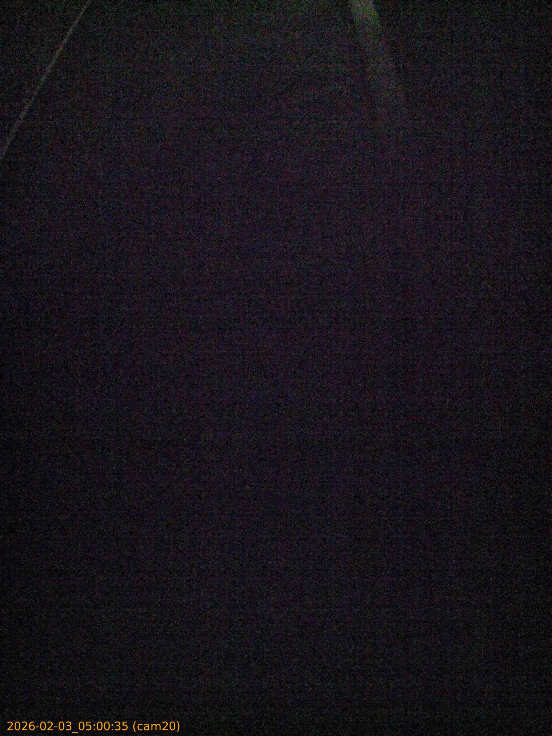 thumbnail_20260203050035