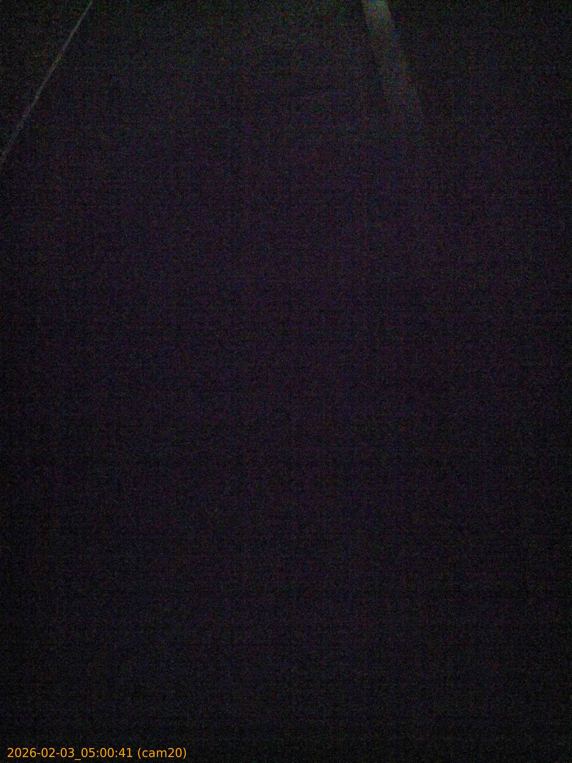 thumbnail_20260203050041