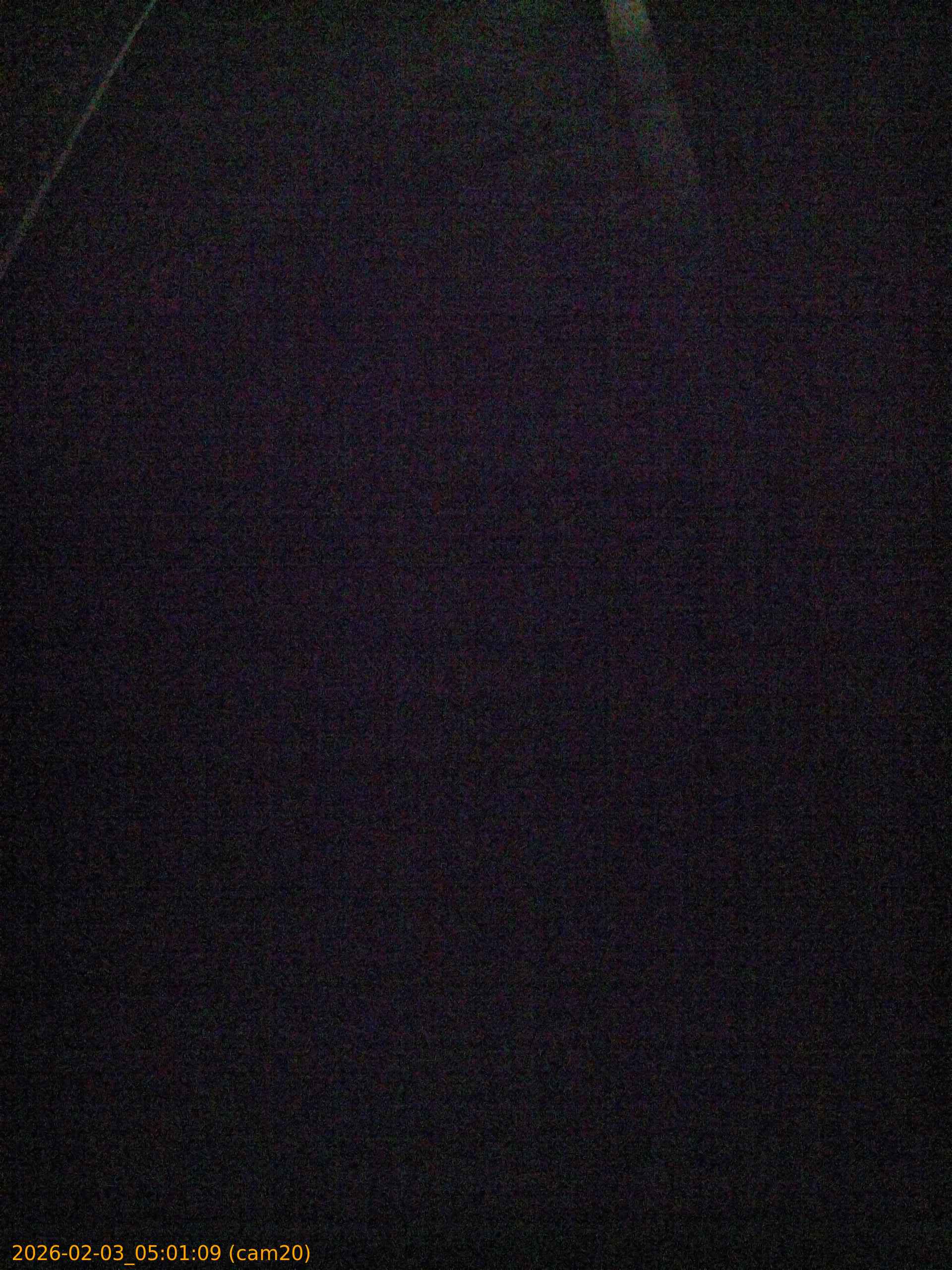 thumbnail_20260203050109