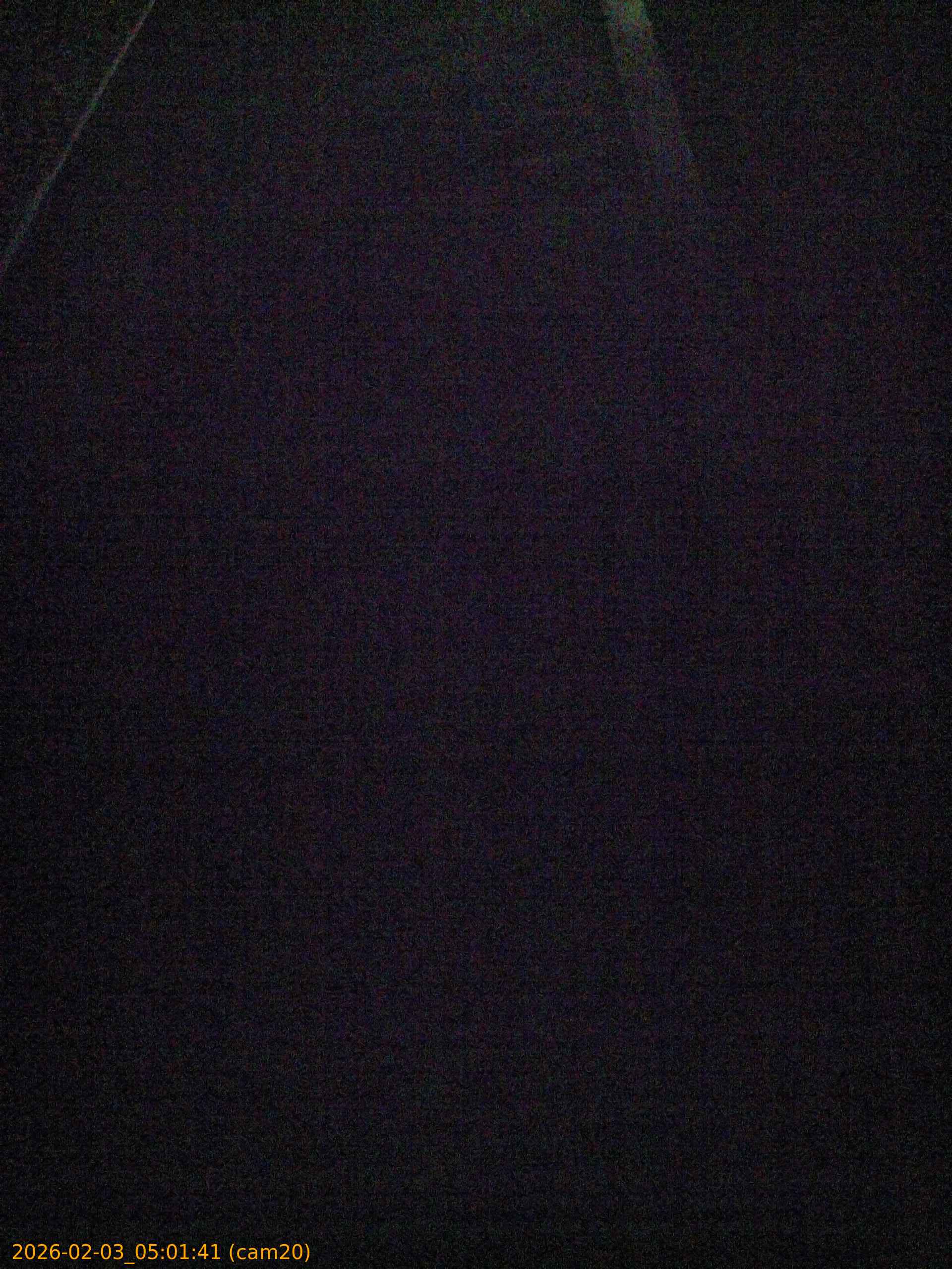 thumbnail_20260203050141