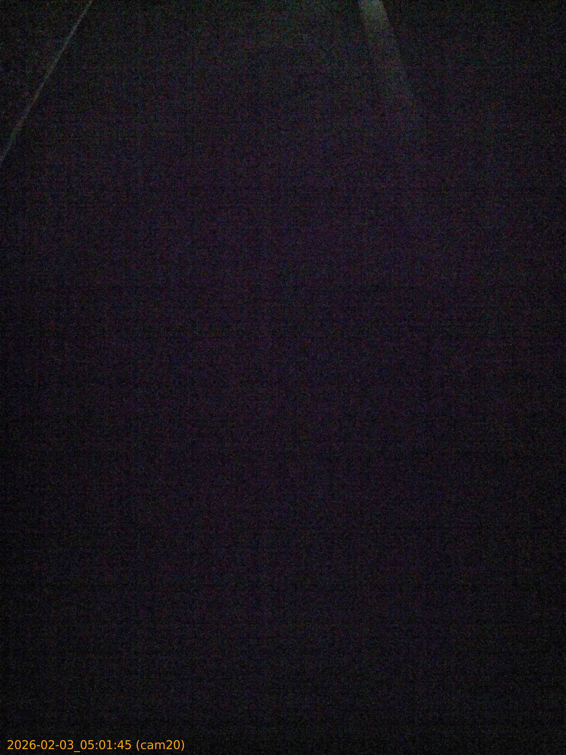 thumbnail_20260203050145