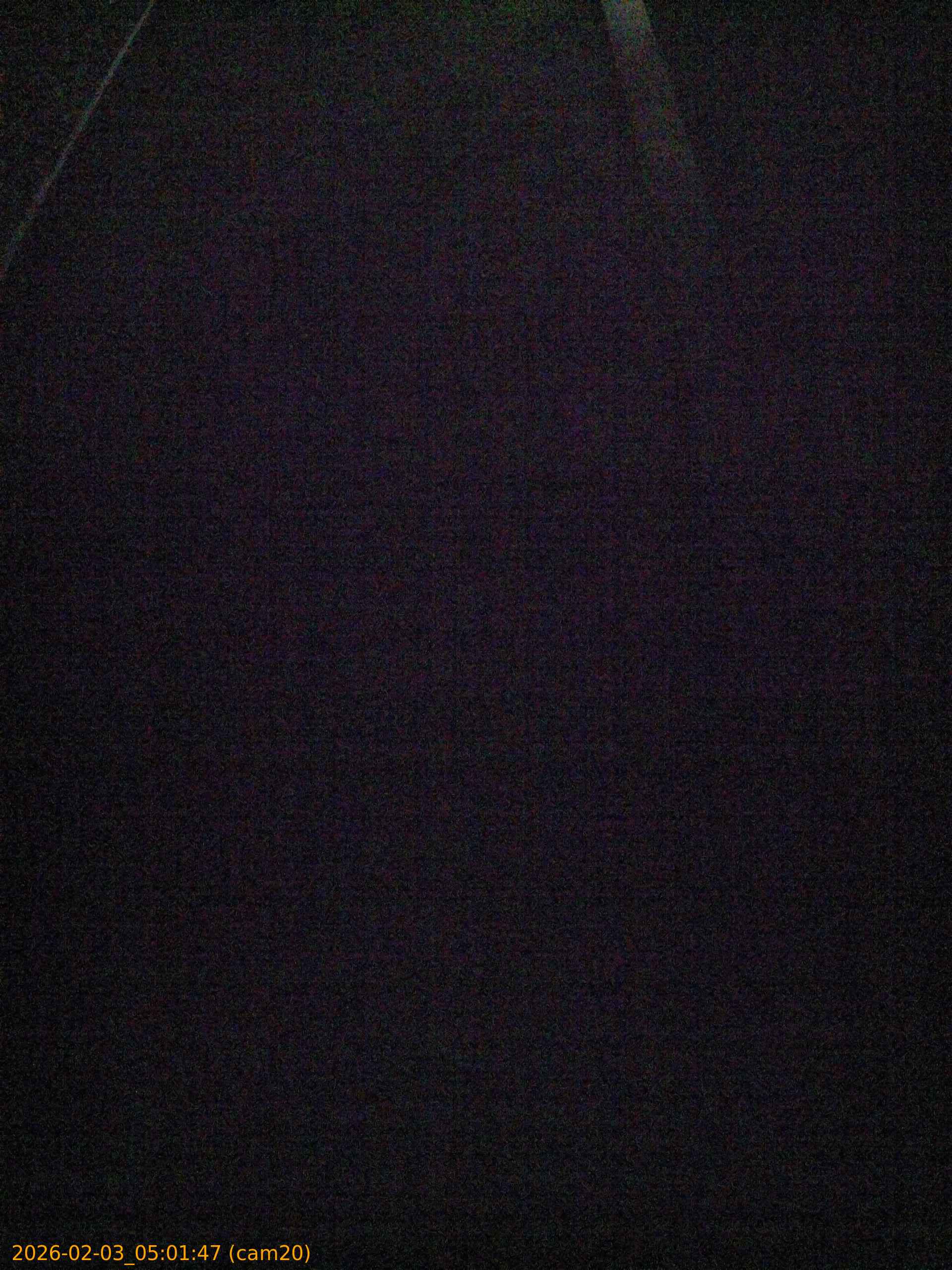 thumbnail_20260203050147