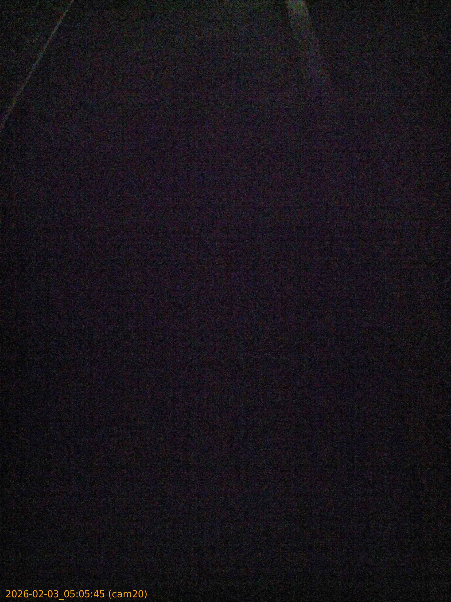 thumbnail_20260203050545