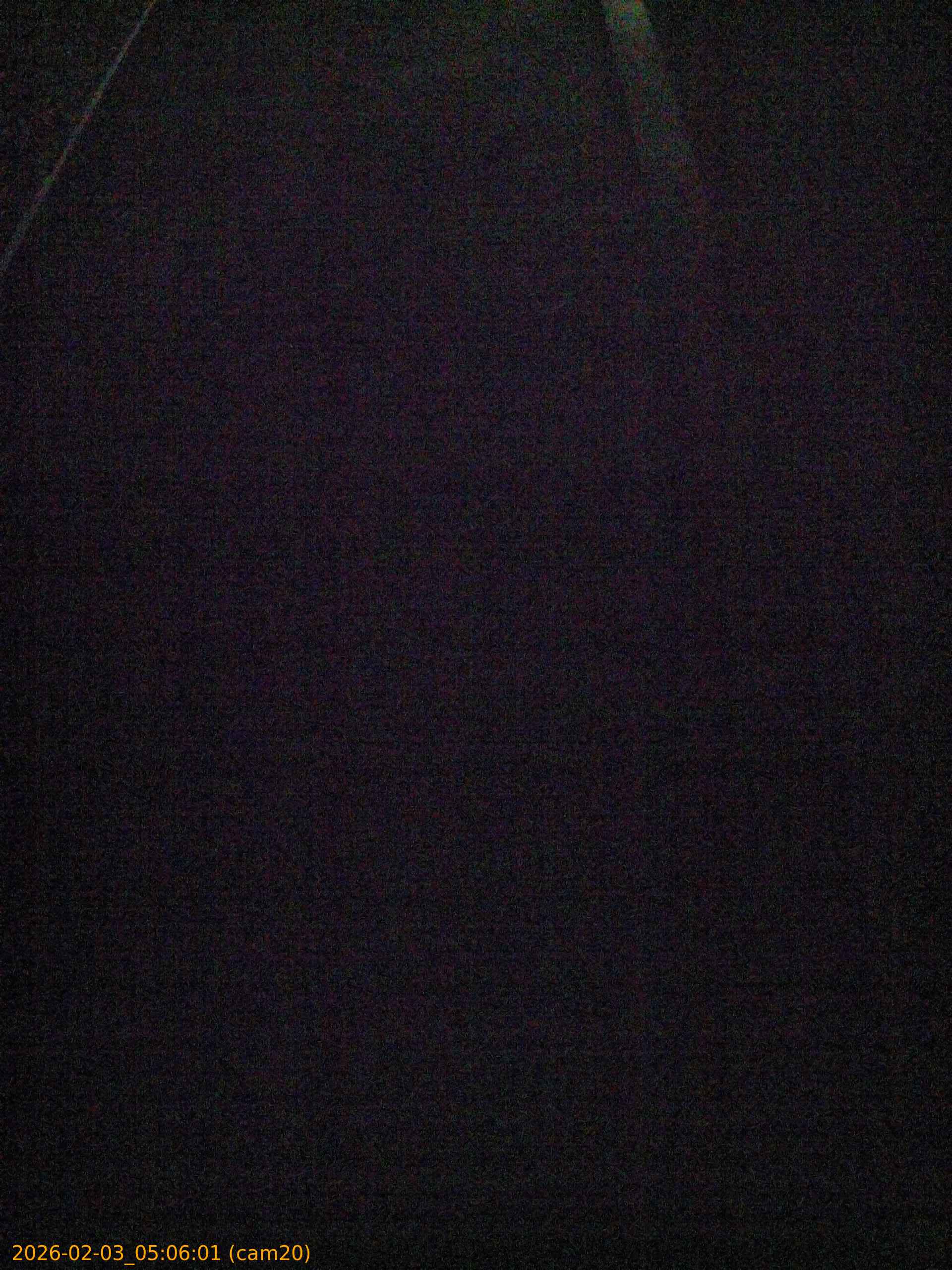 thumbnail_20260203050601