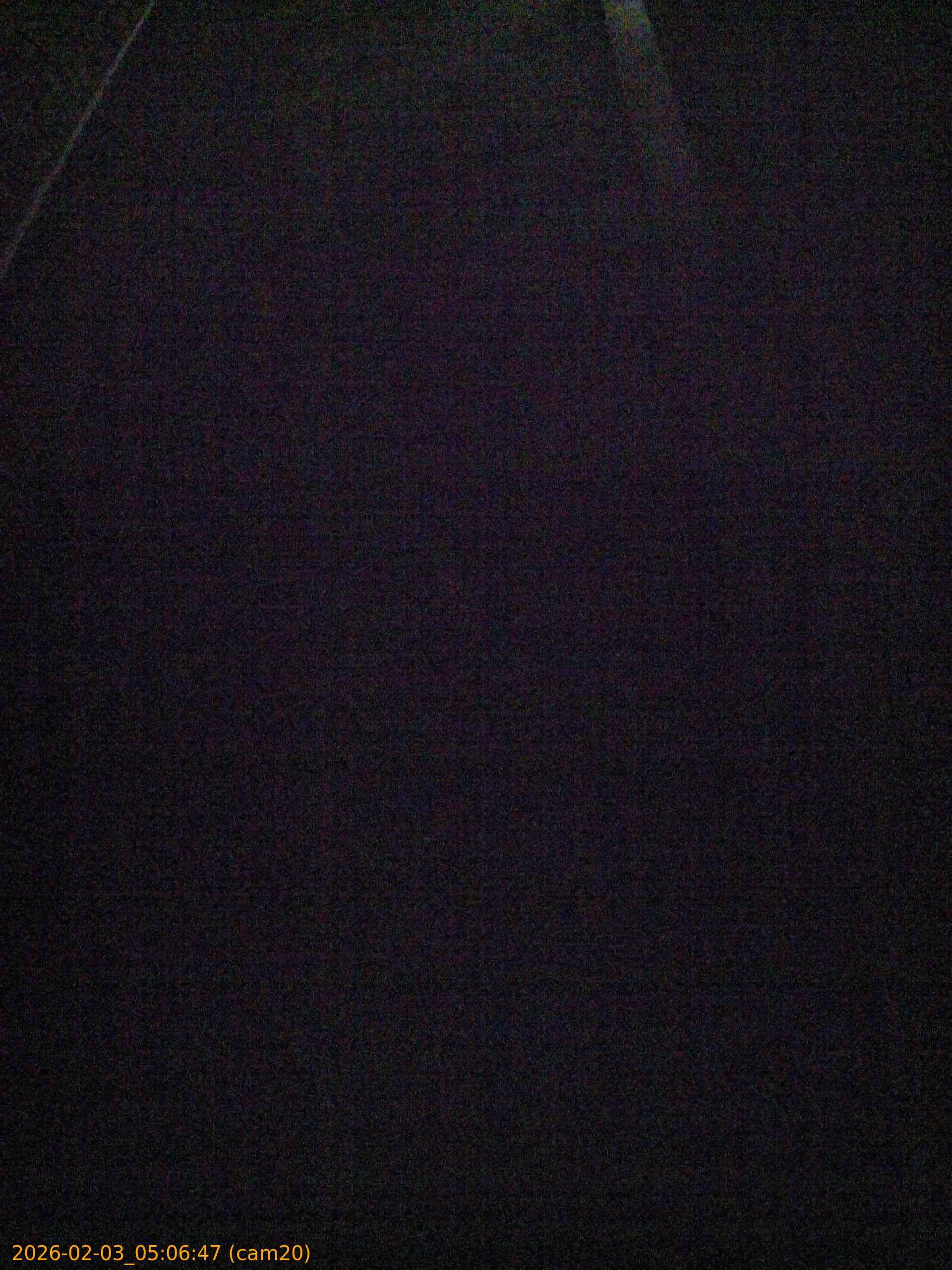 thumbnail_20260203050647