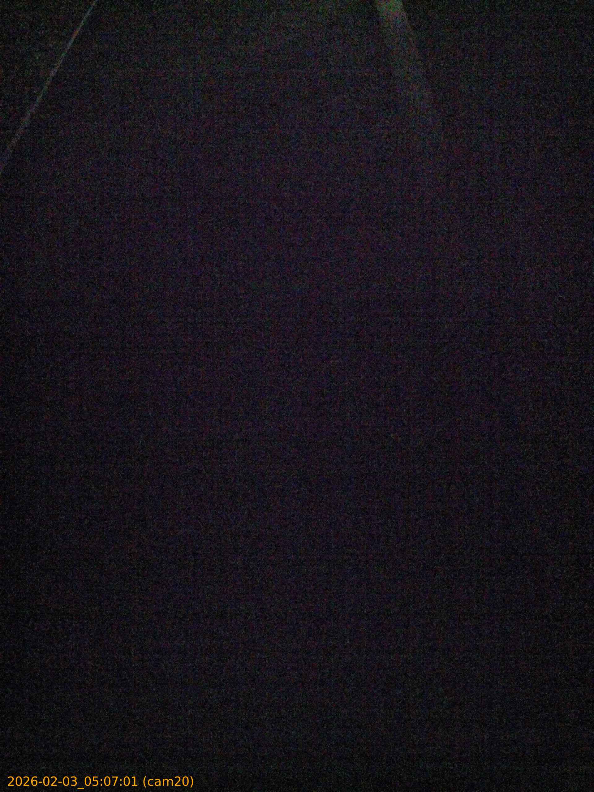 thumbnail_20260203050701