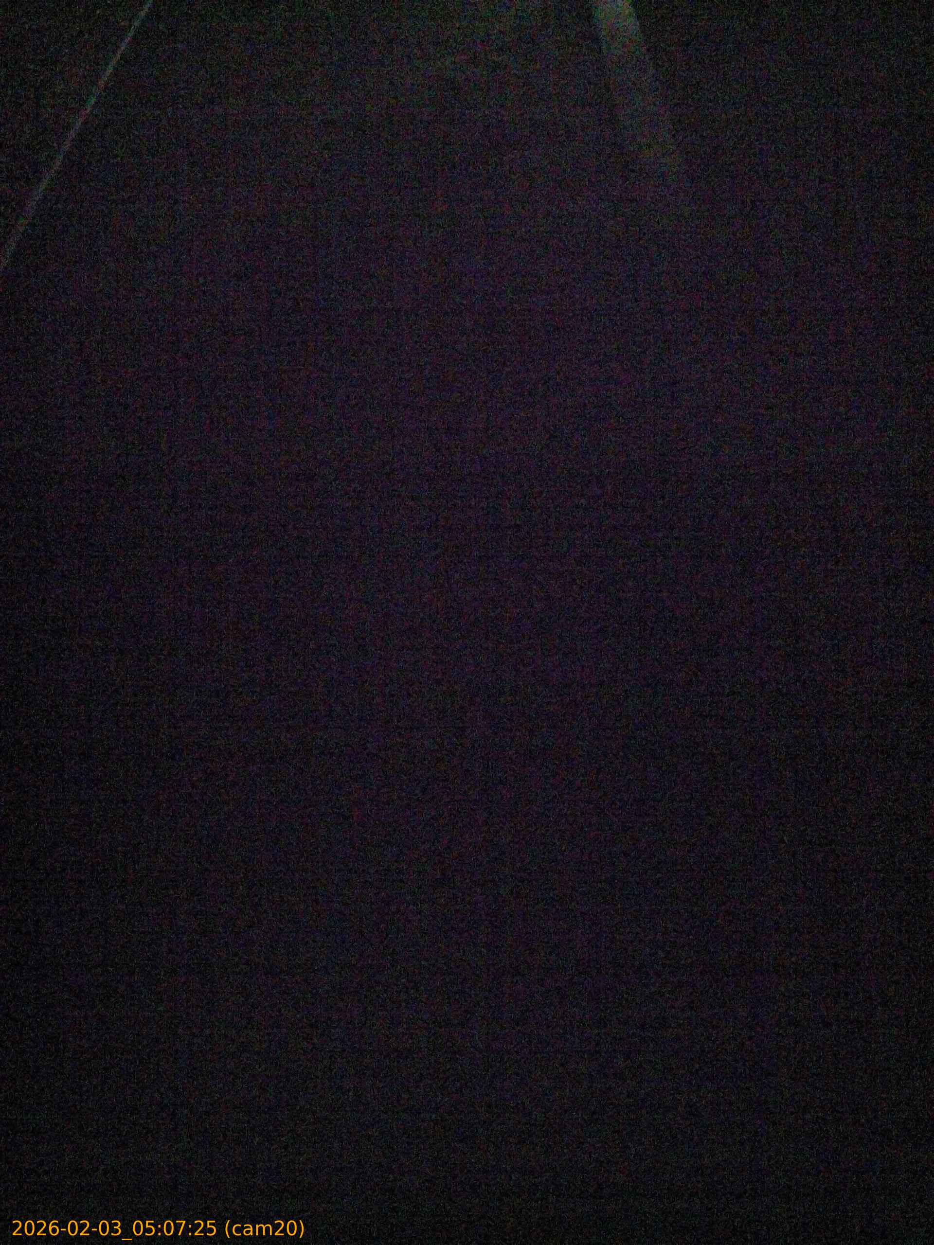 thumbnail_20260203050725