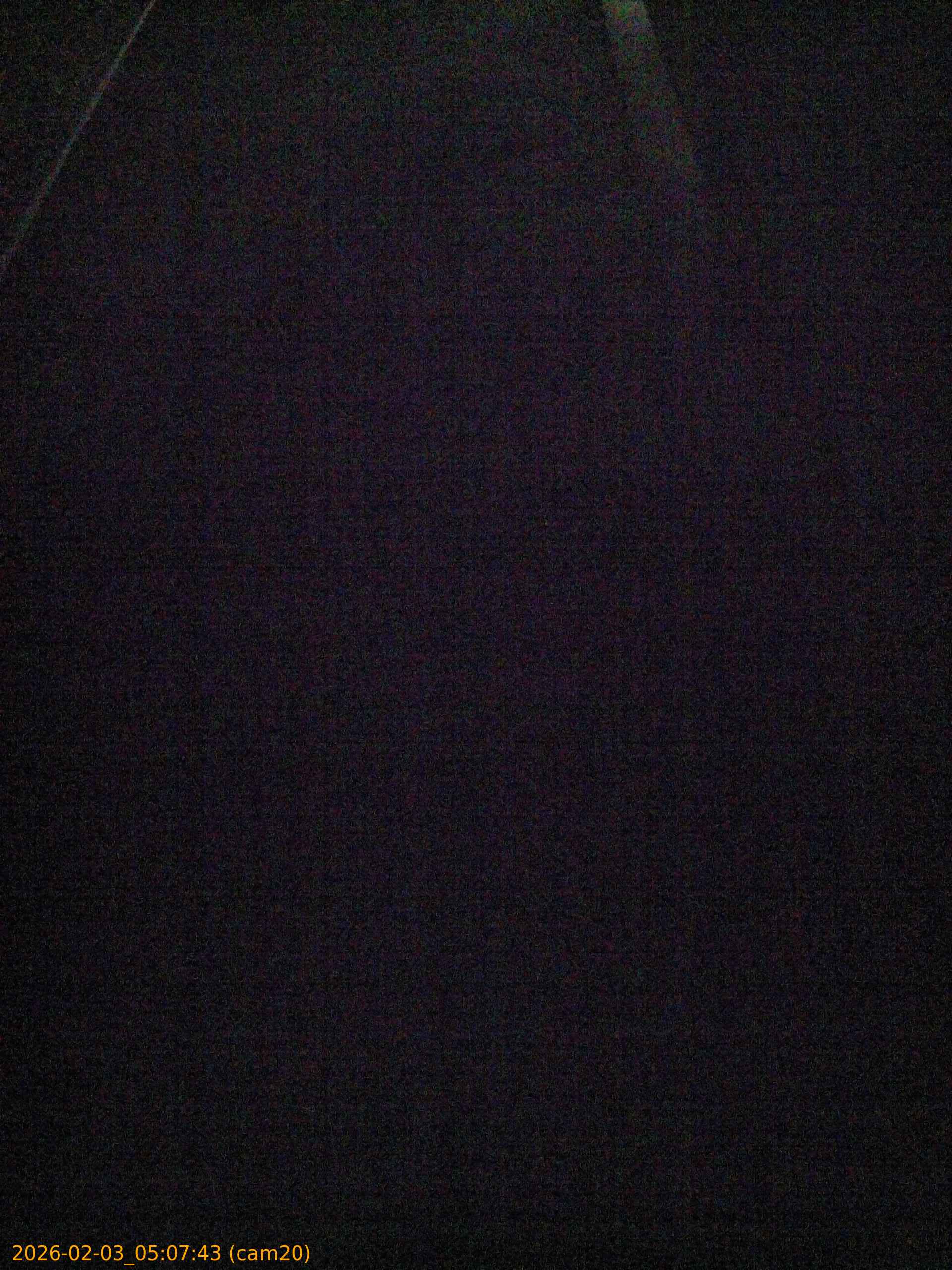 thumbnail_20260203050743