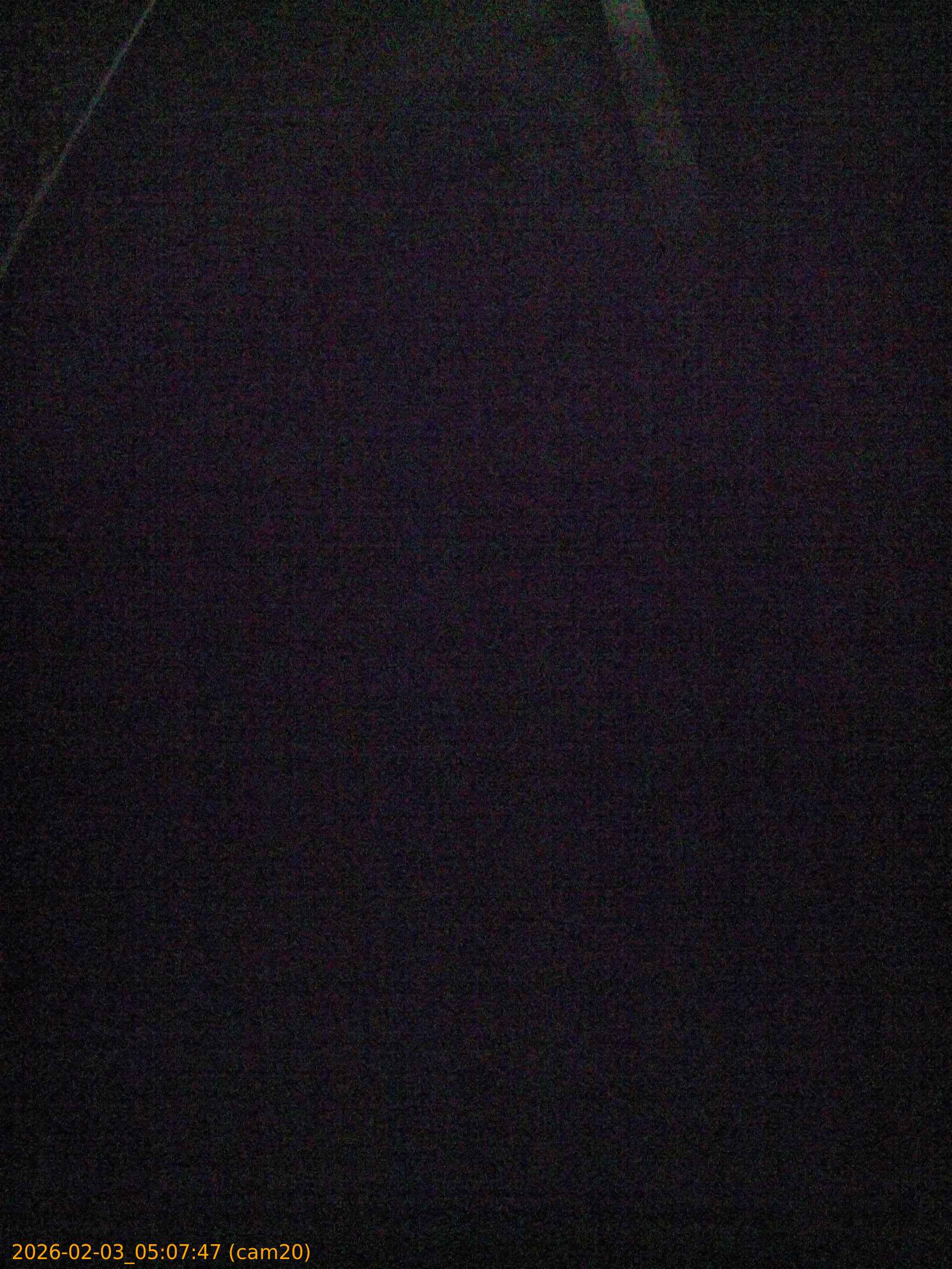 thumbnail_20260203050747