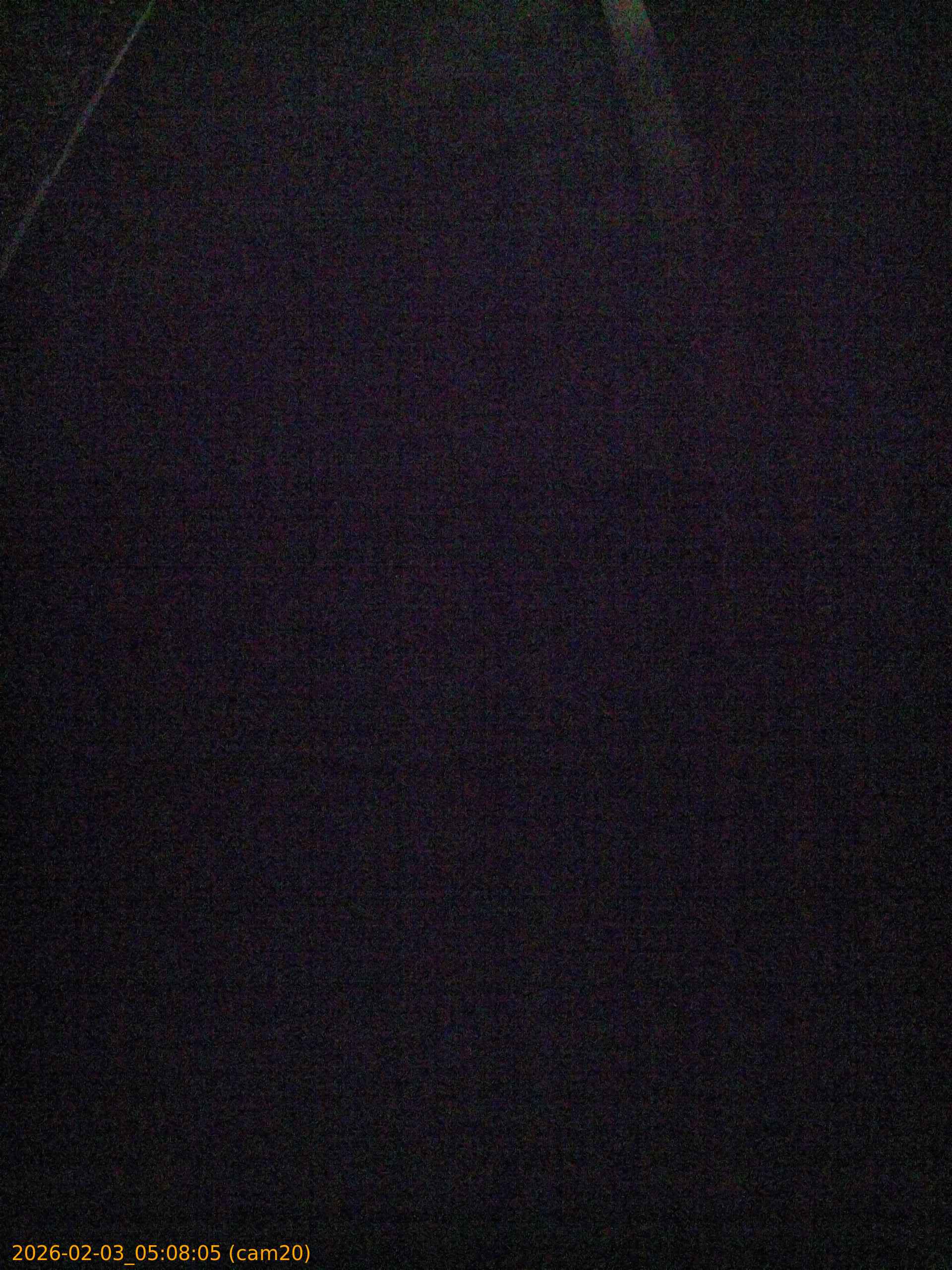 thumbnail_20260203050805