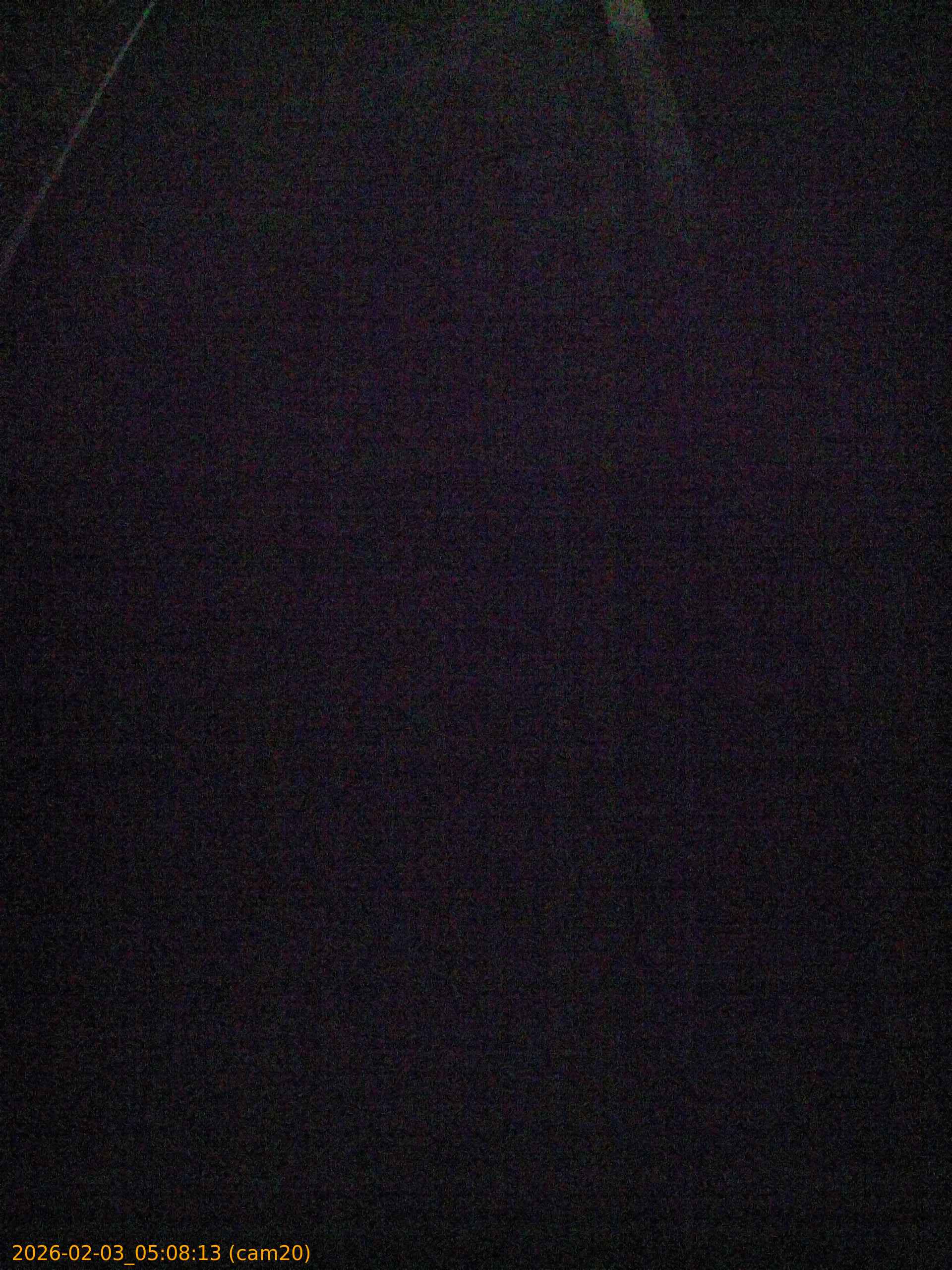 thumbnail_20260203050813