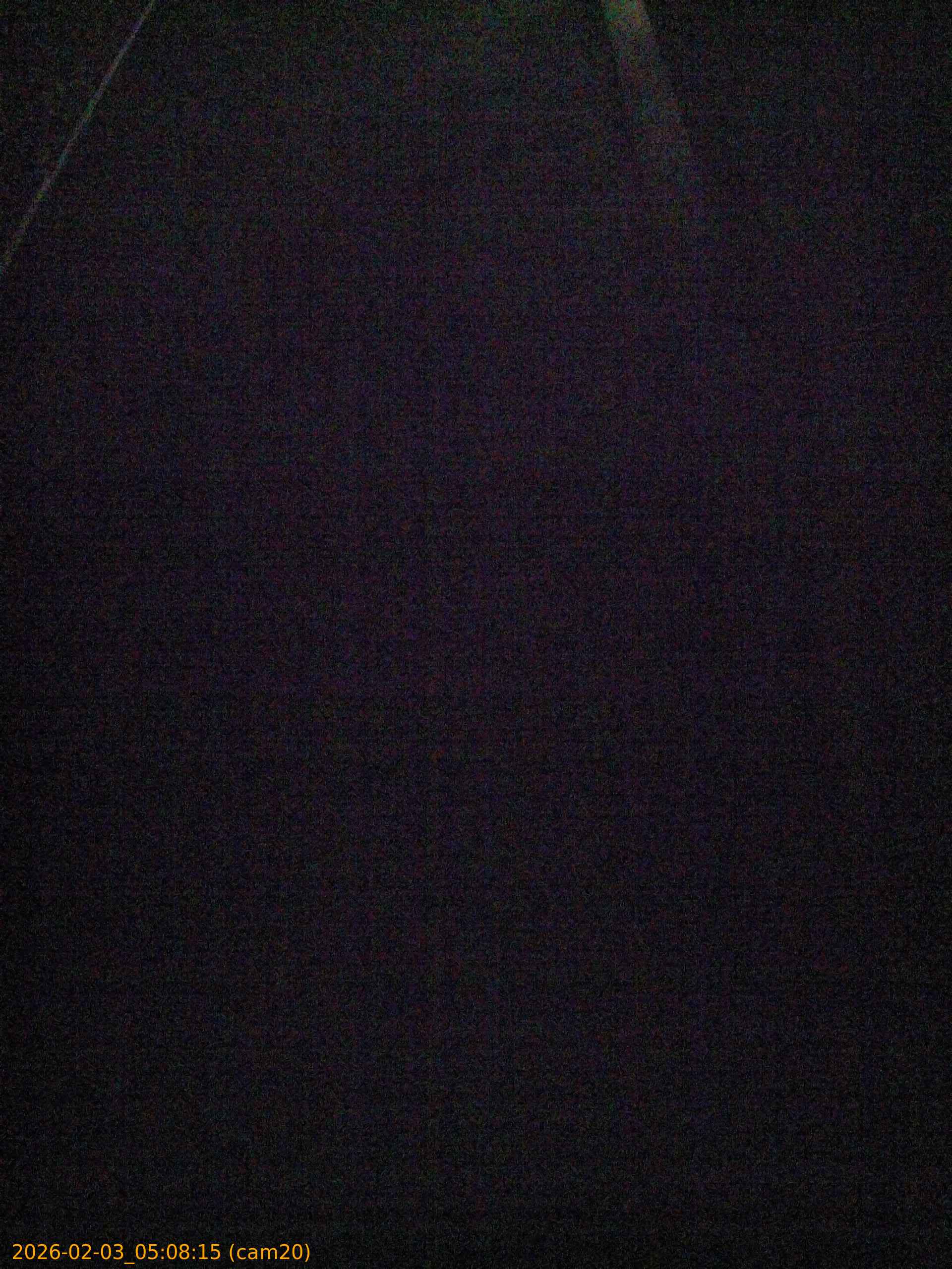 thumbnail_20260203050815