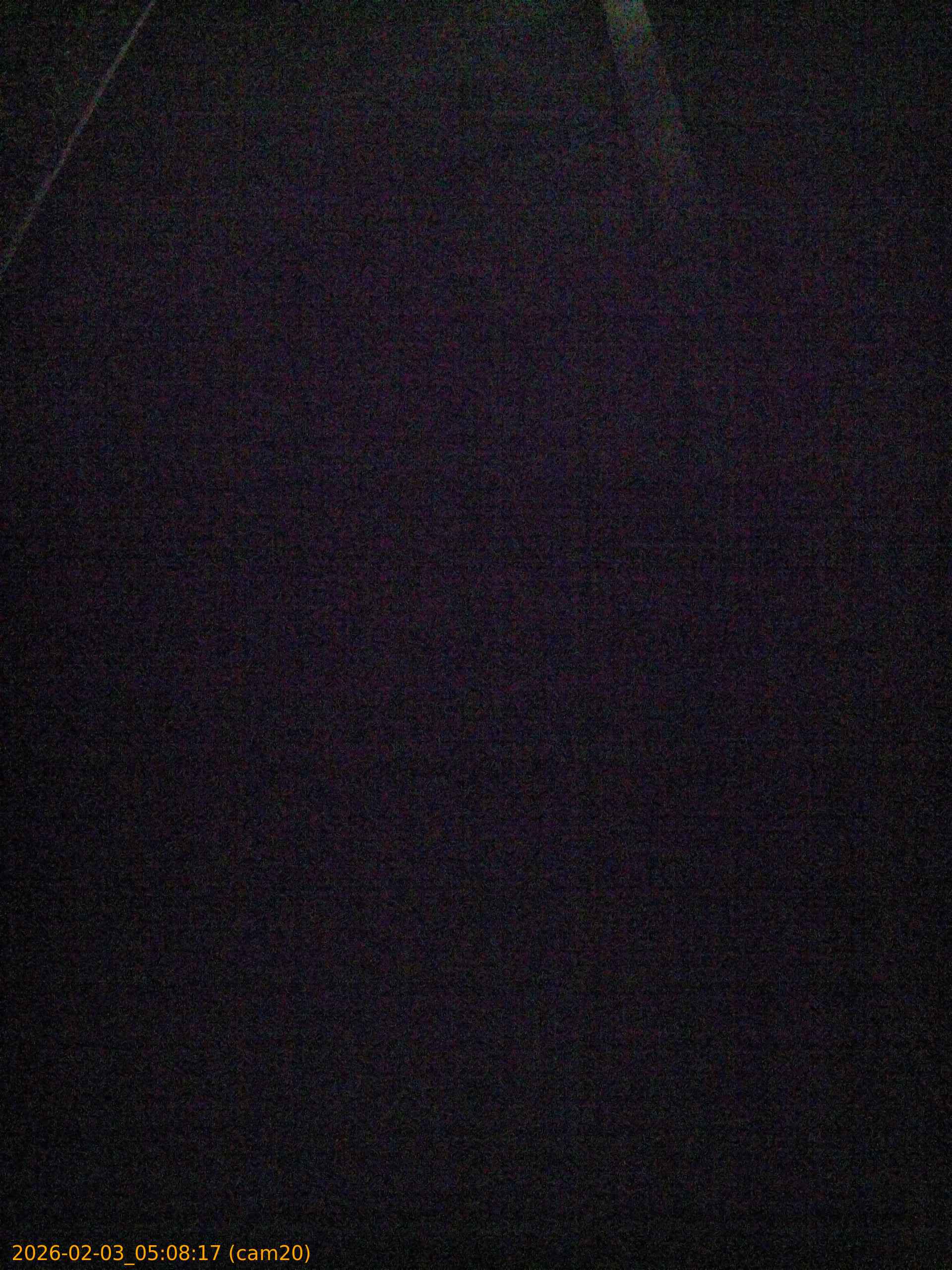 thumbnail_20260203050817