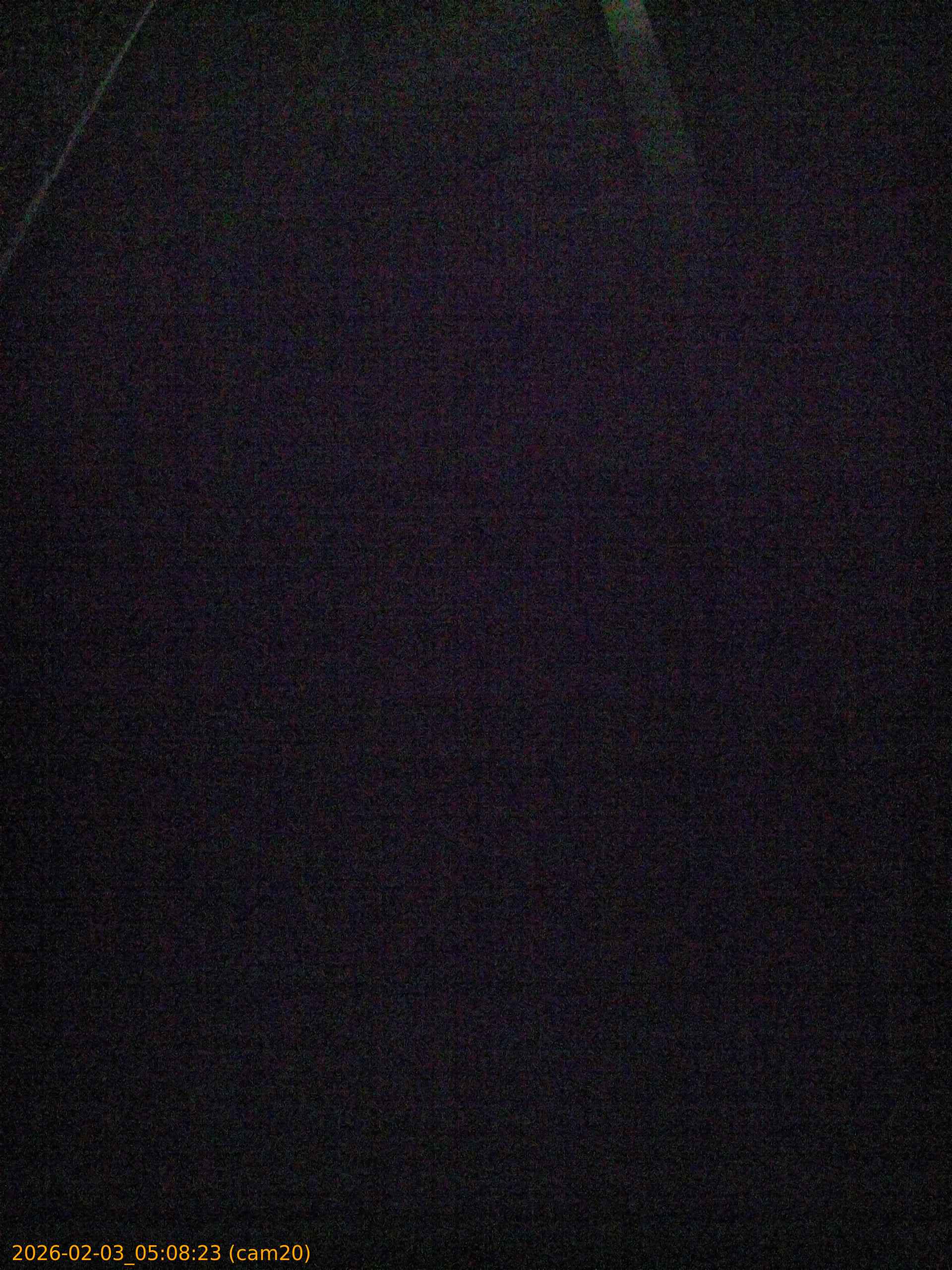 thumbnail_20260203050823