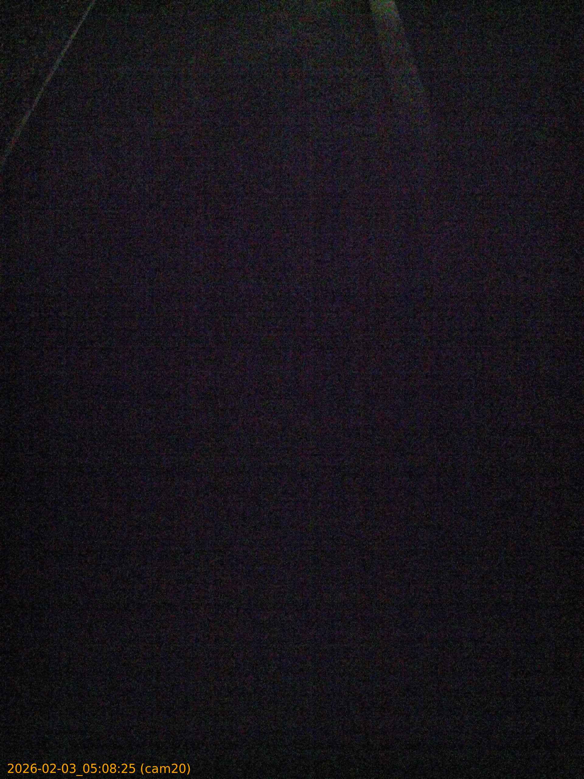 thumbnail_20260203050825