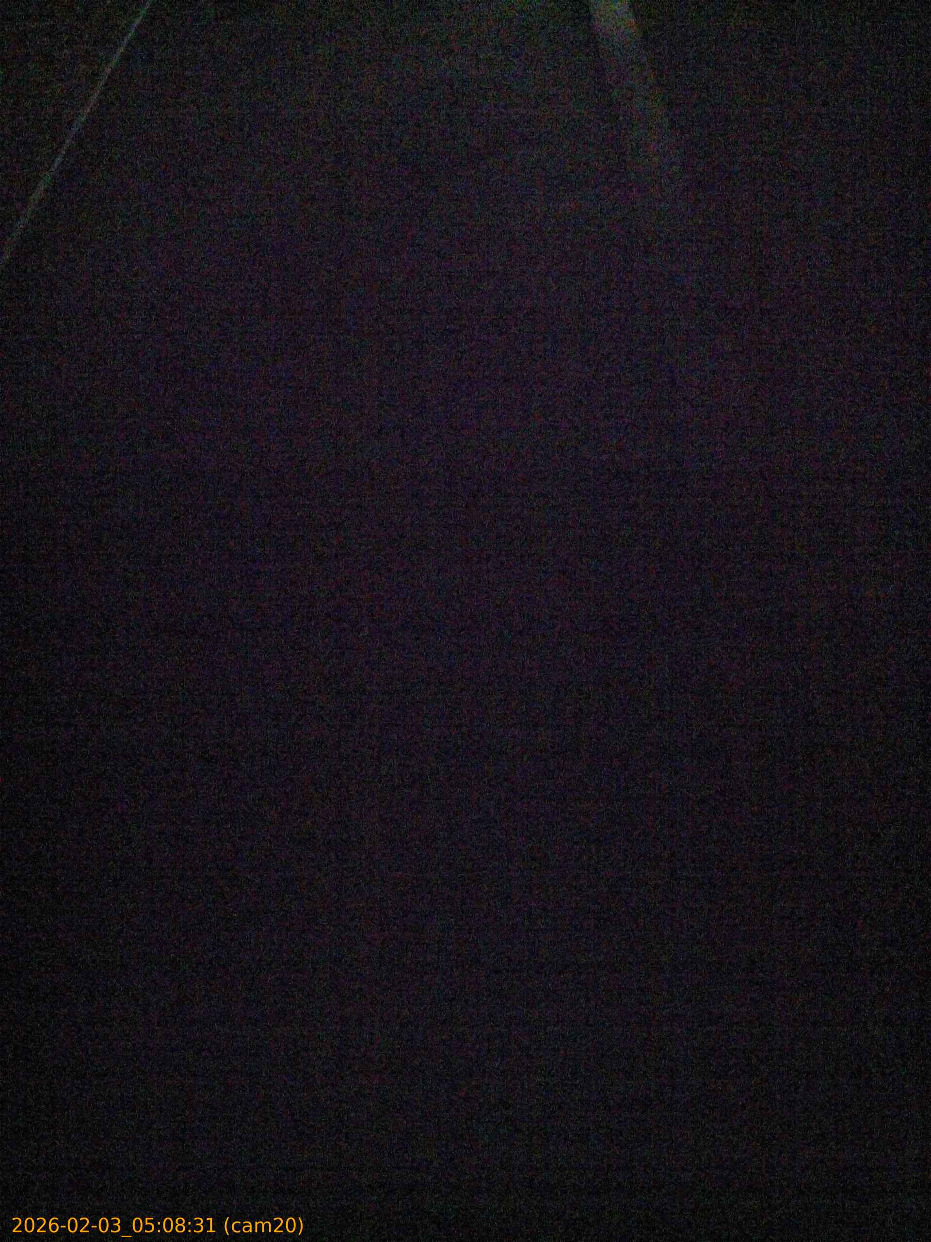 thumbnail_20260203050831