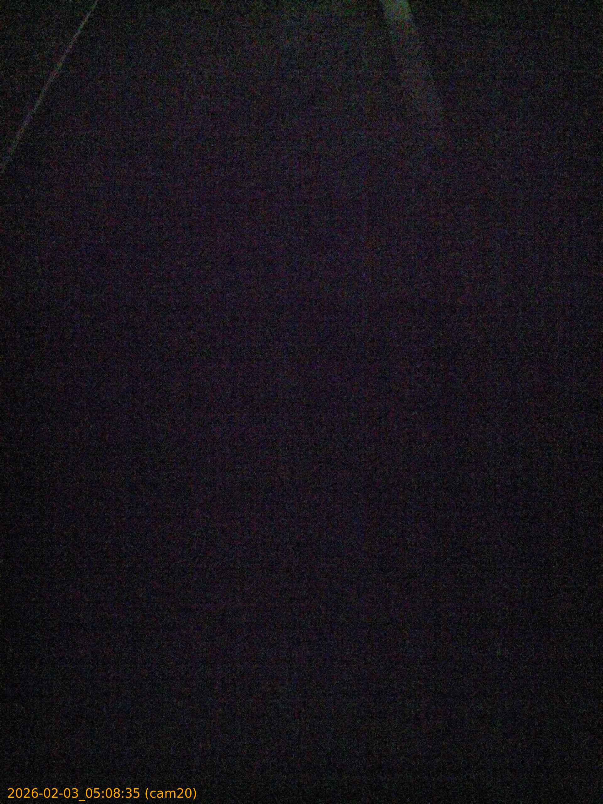 thumbnail_20260203050835