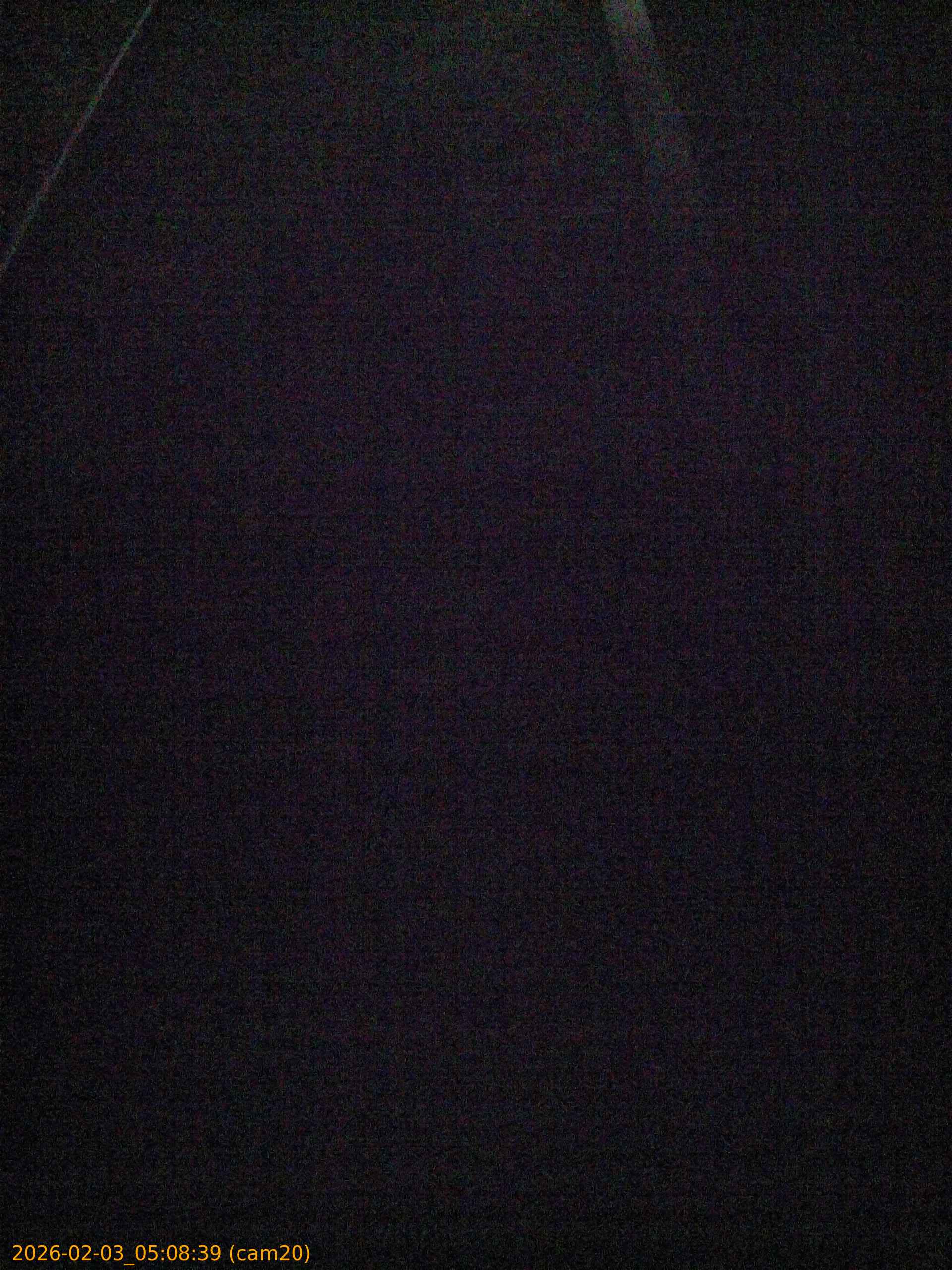 thumbnail_20260203050839