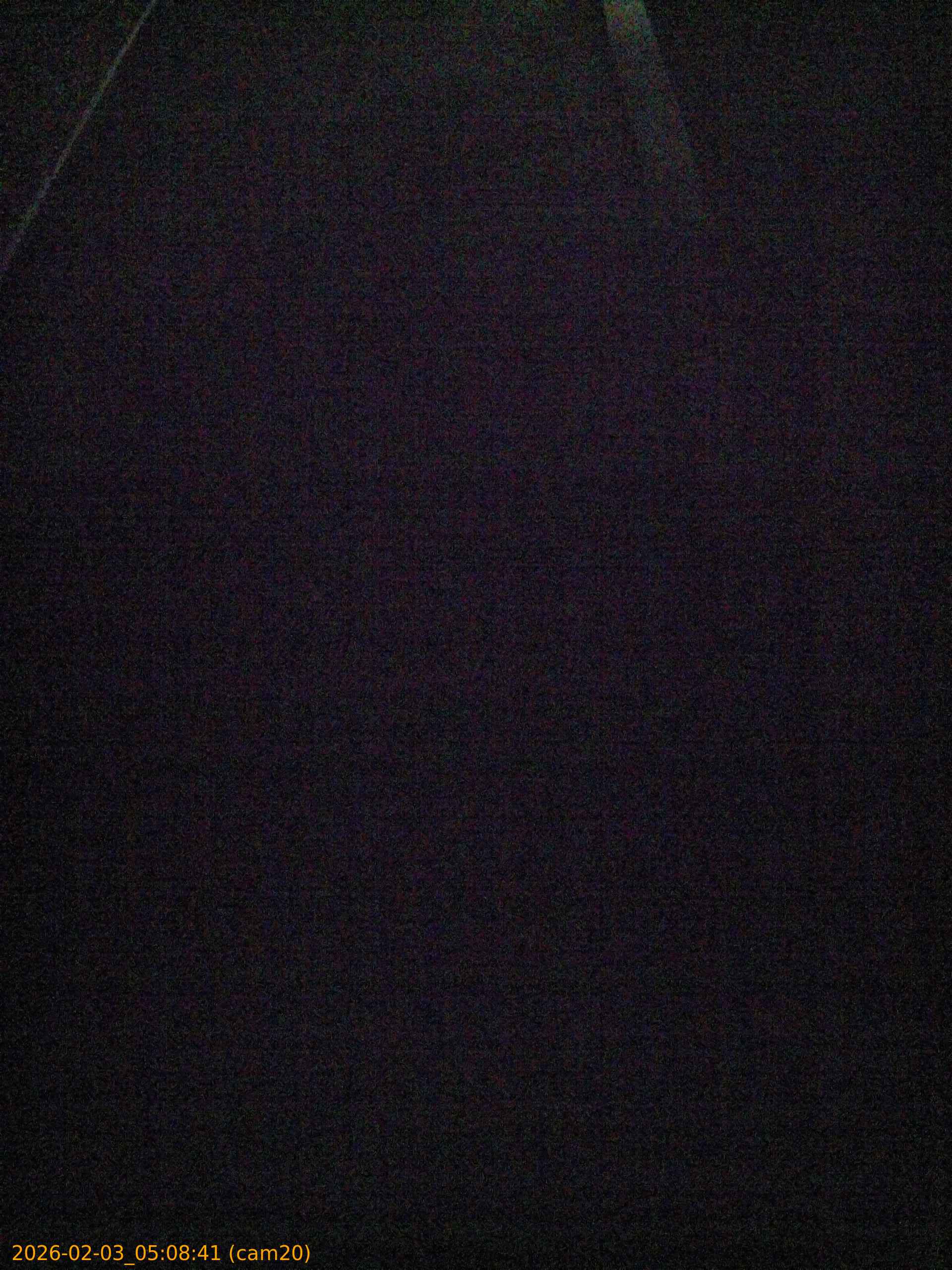 thumbnail_20260203050841