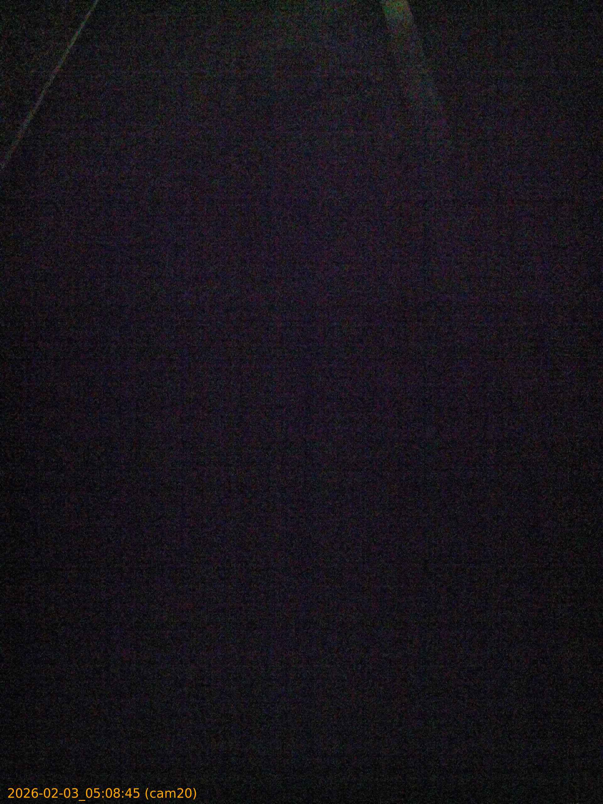 thumbnail_20260203050845