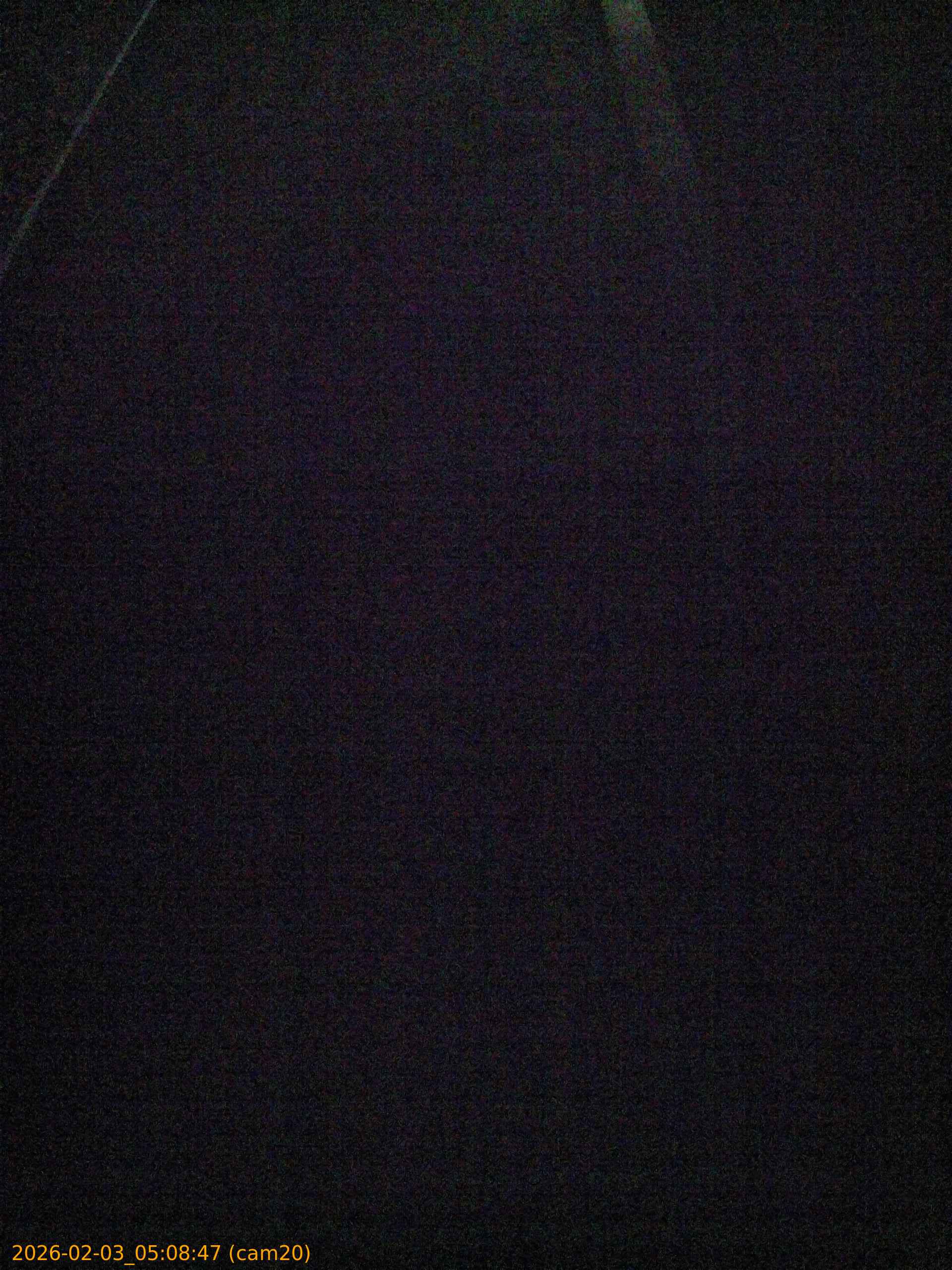 thumbnail_20260203050847